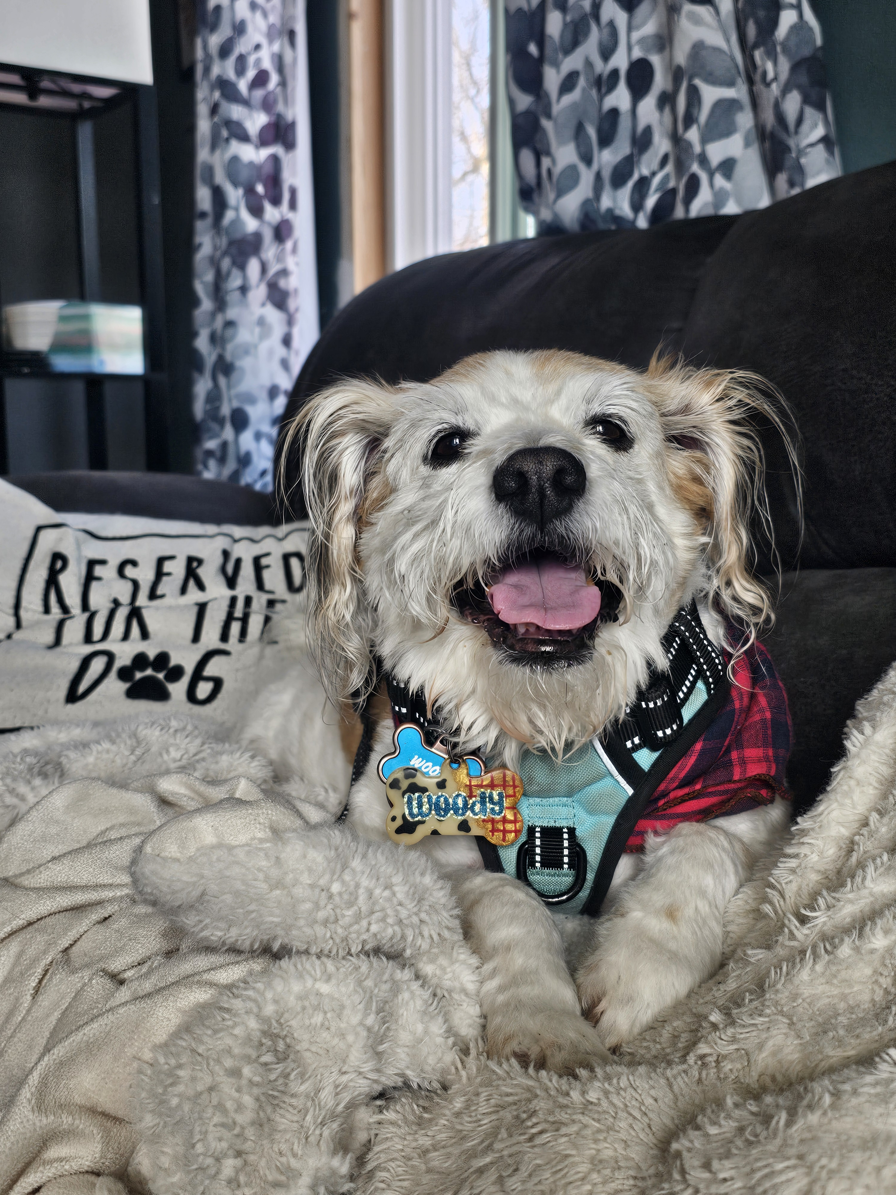 user avatar image for Spencer