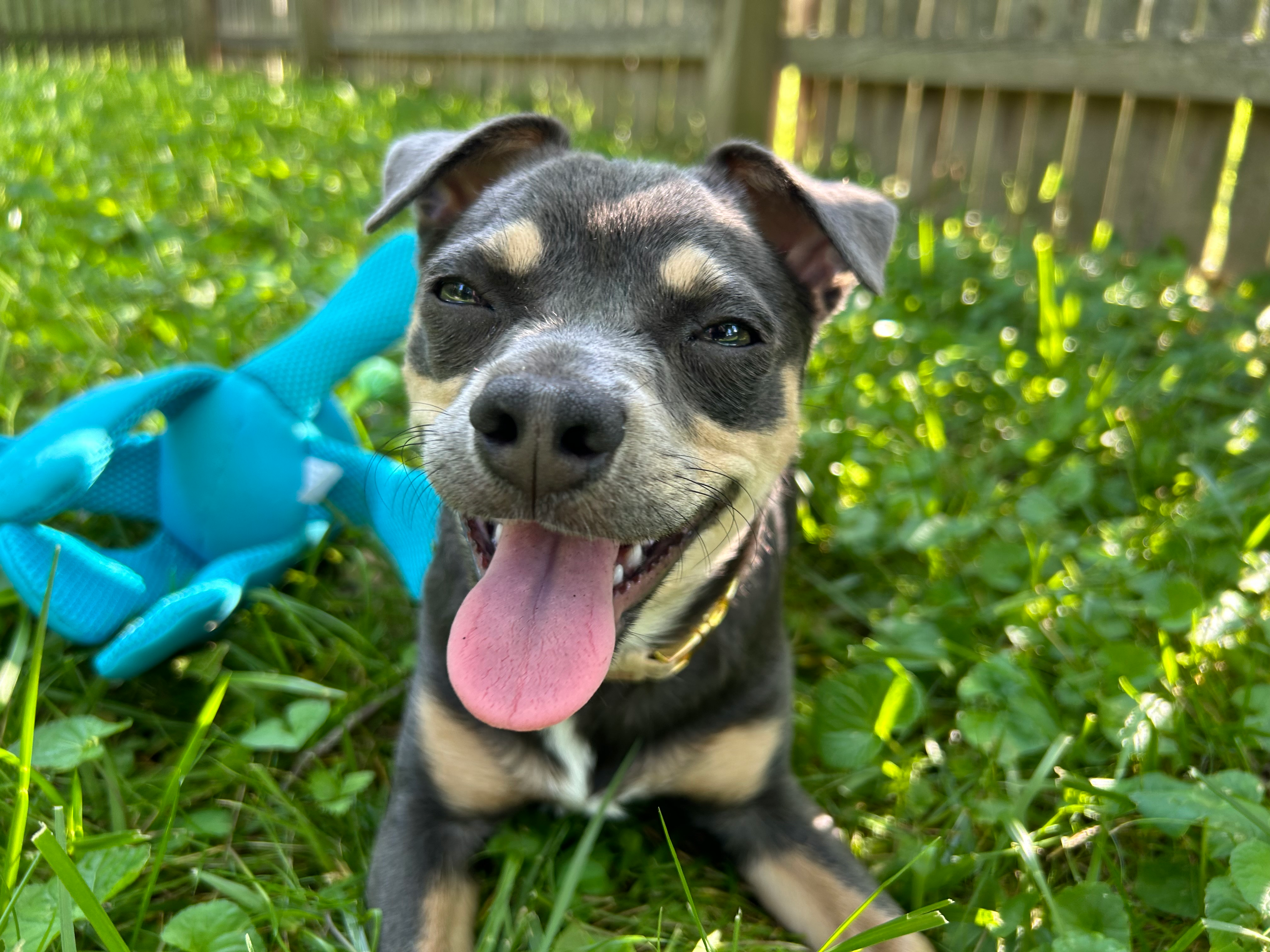 user avatar image for Rachel