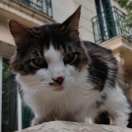 user avatar image for Marvin