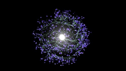 user avatar image for *starry*