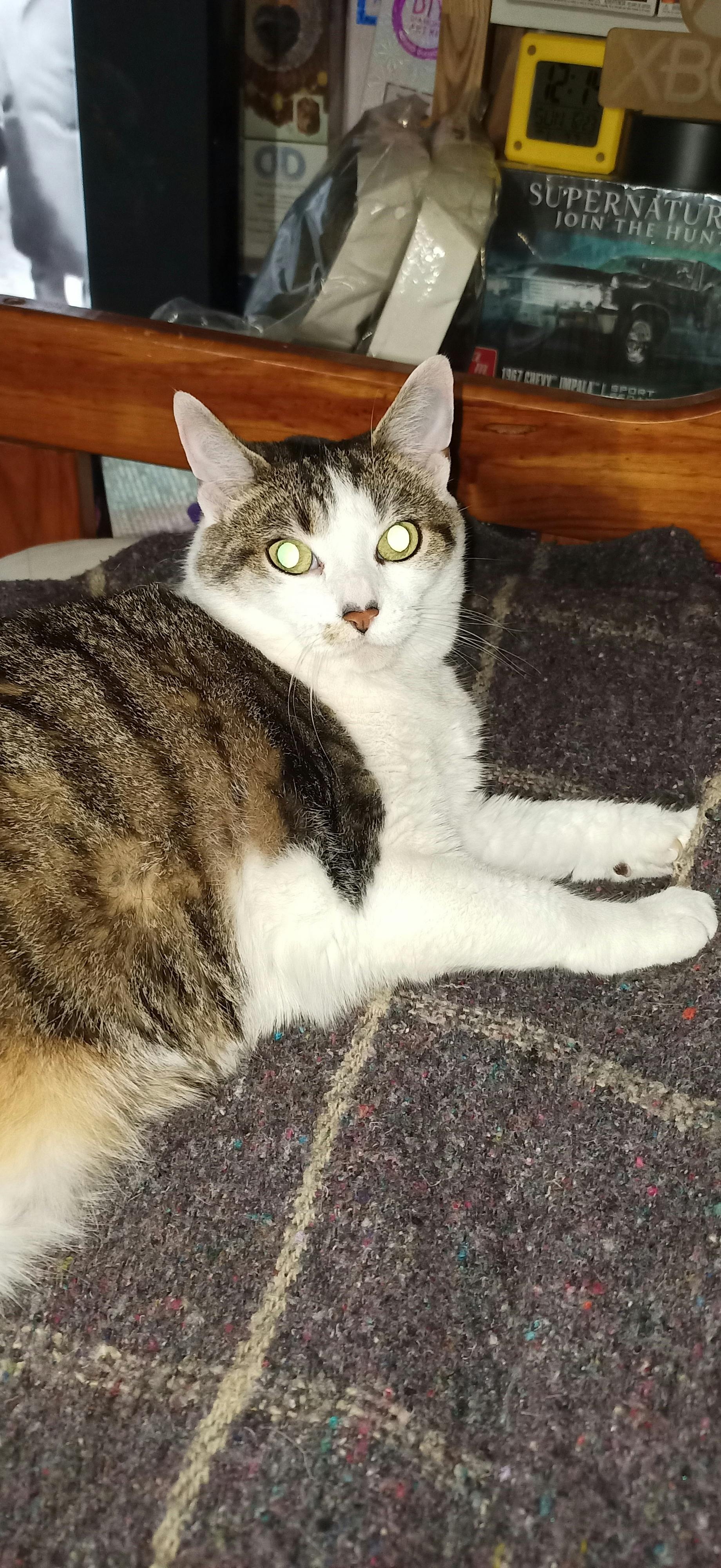 user avatar image for Ryladante