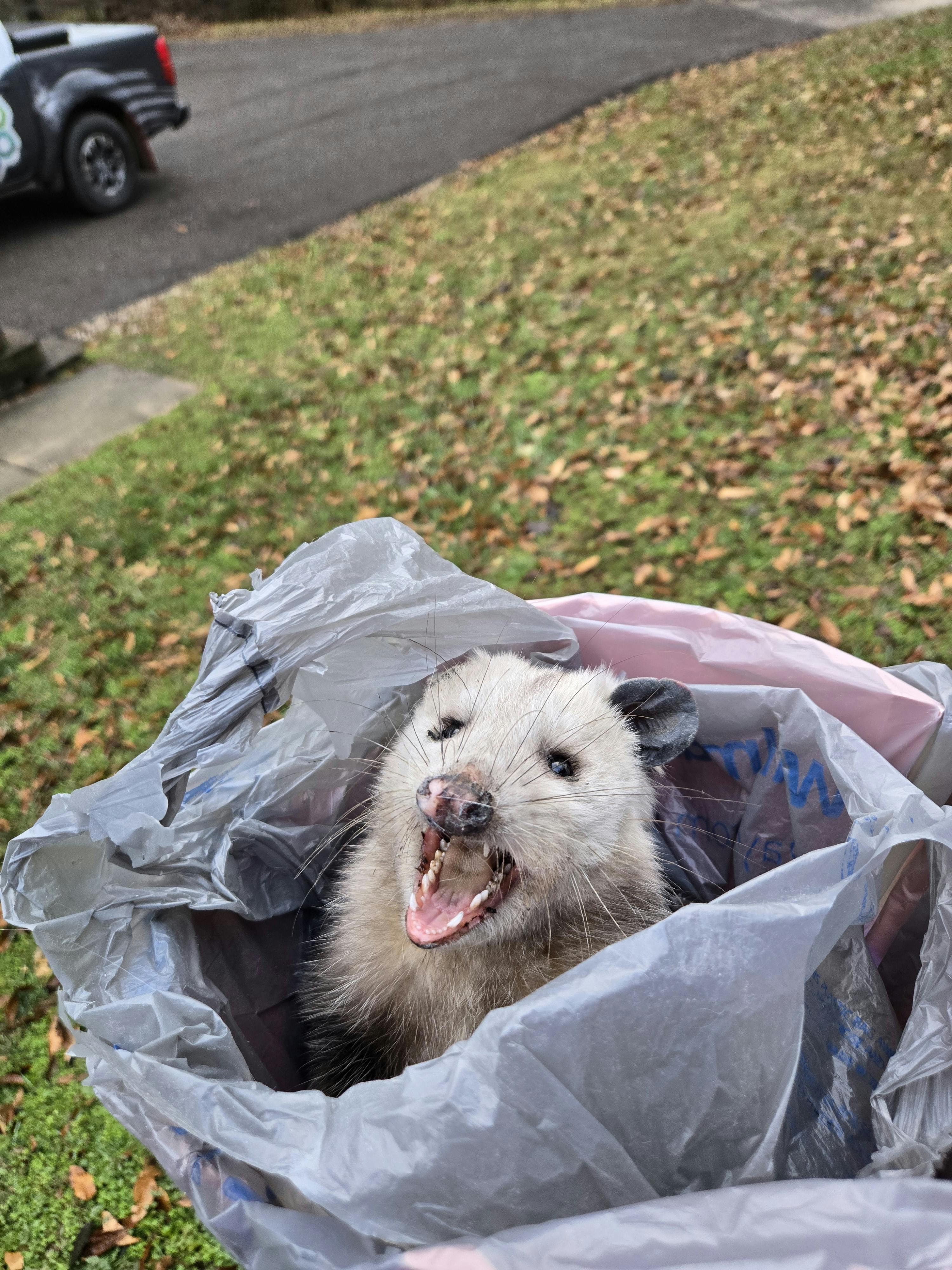 user avatar image for John Smith 4848