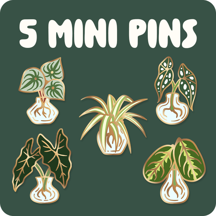 5 Pins