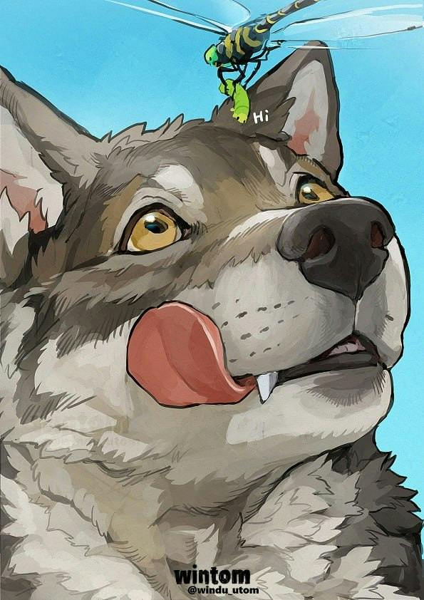 user avatar image for Halix