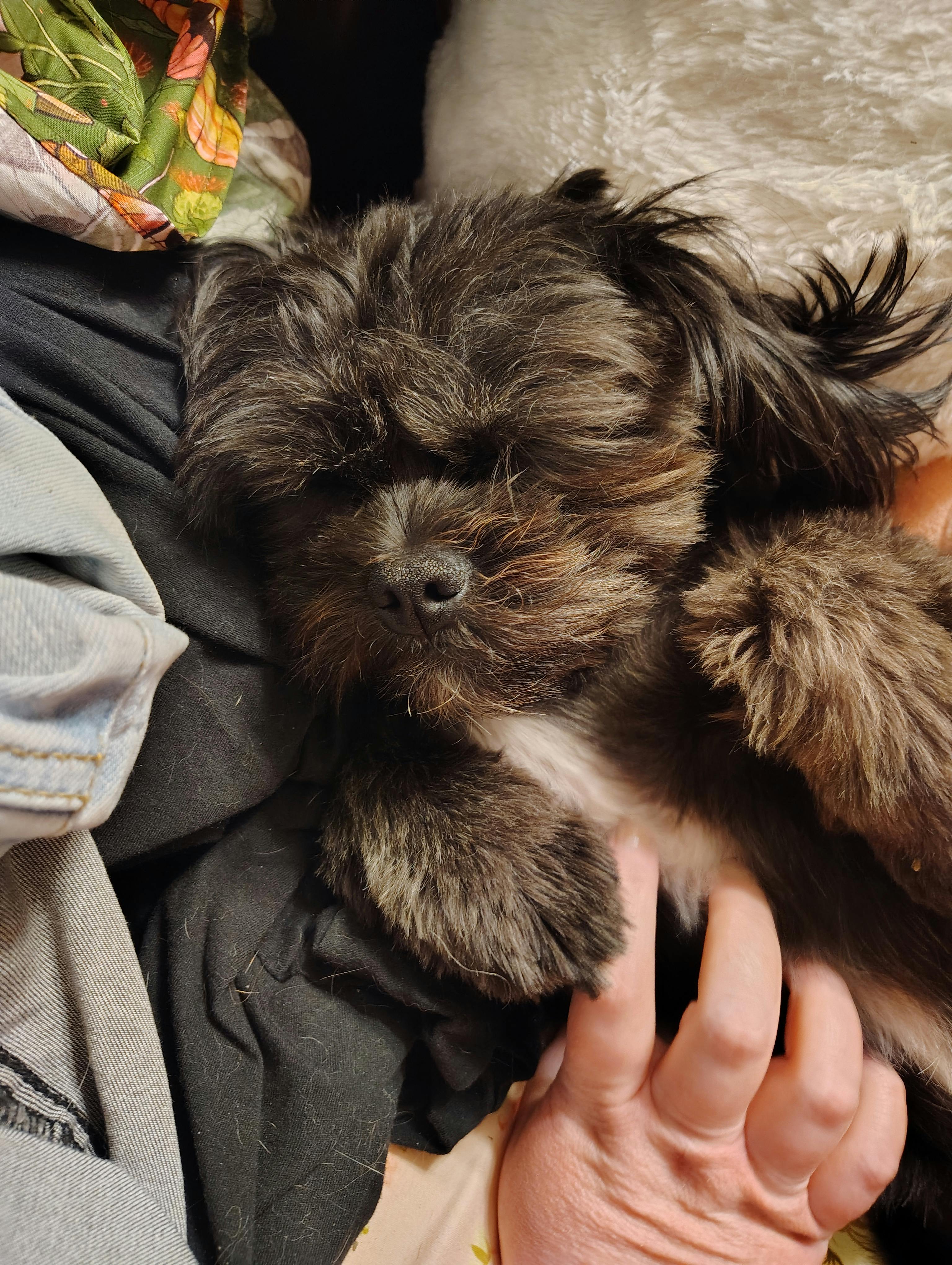 user avatar image for Fern