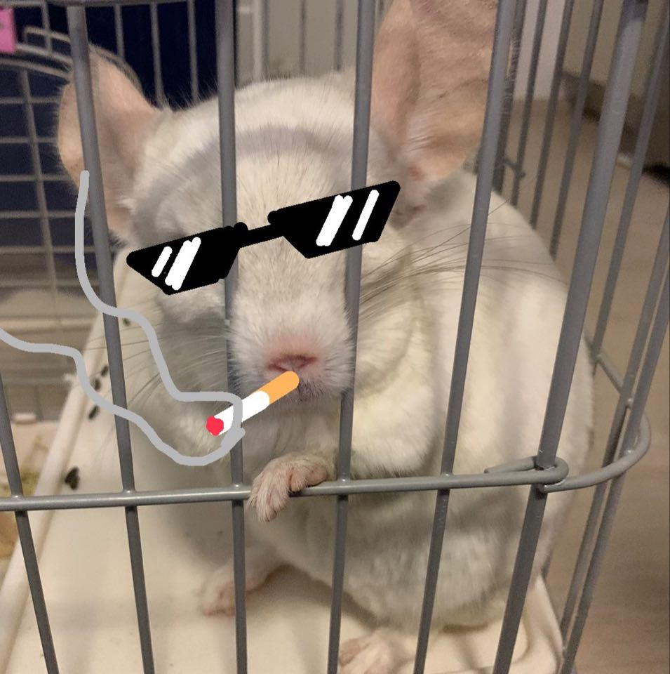 user avatar image for Abbram