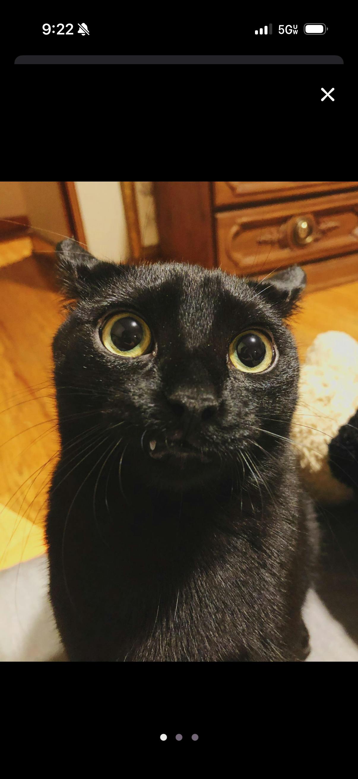 user avatar image for Will Swett