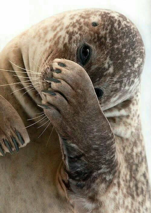 user avatar image for Aaron Hardinge