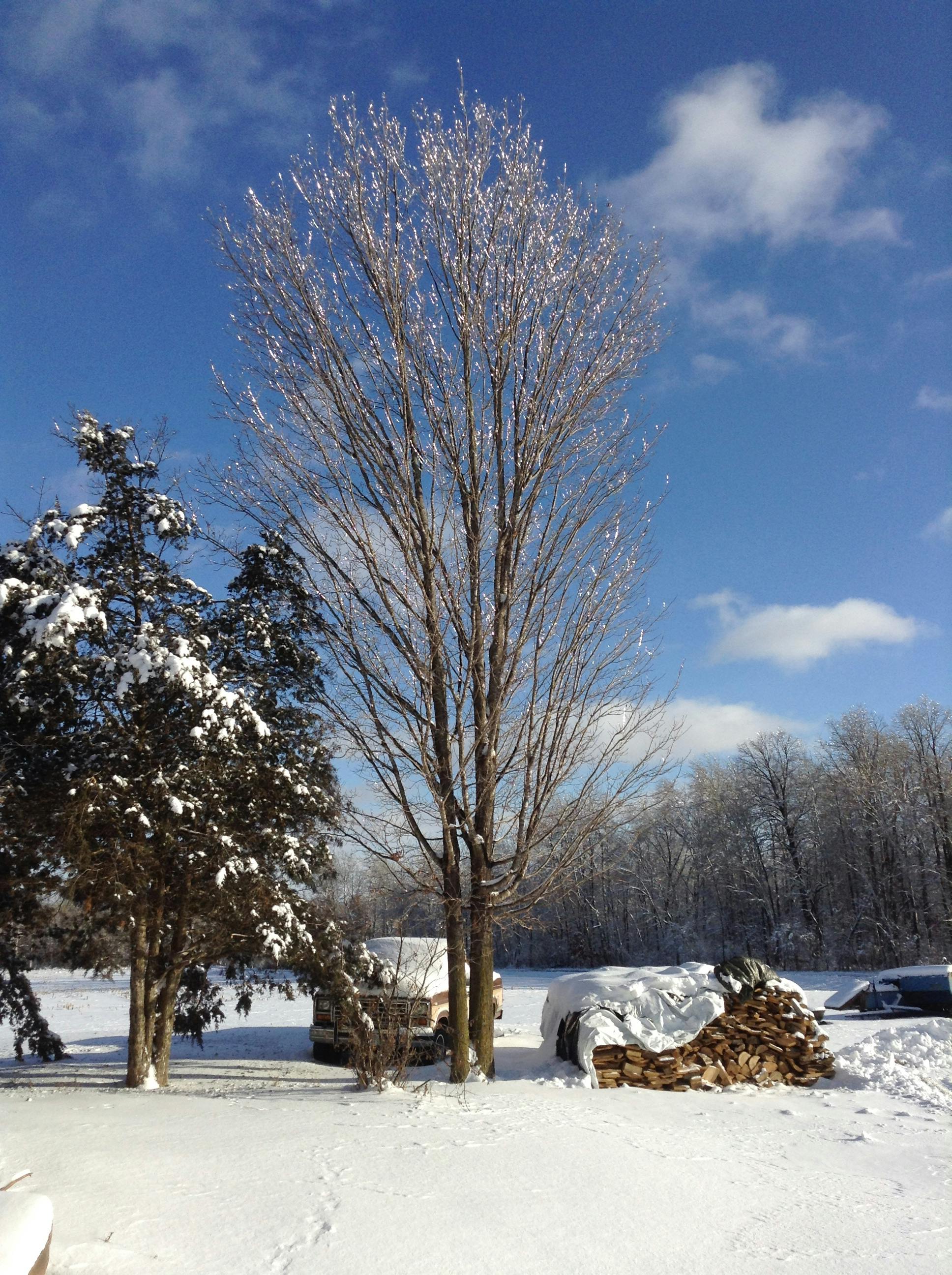 user avatar image for Ben