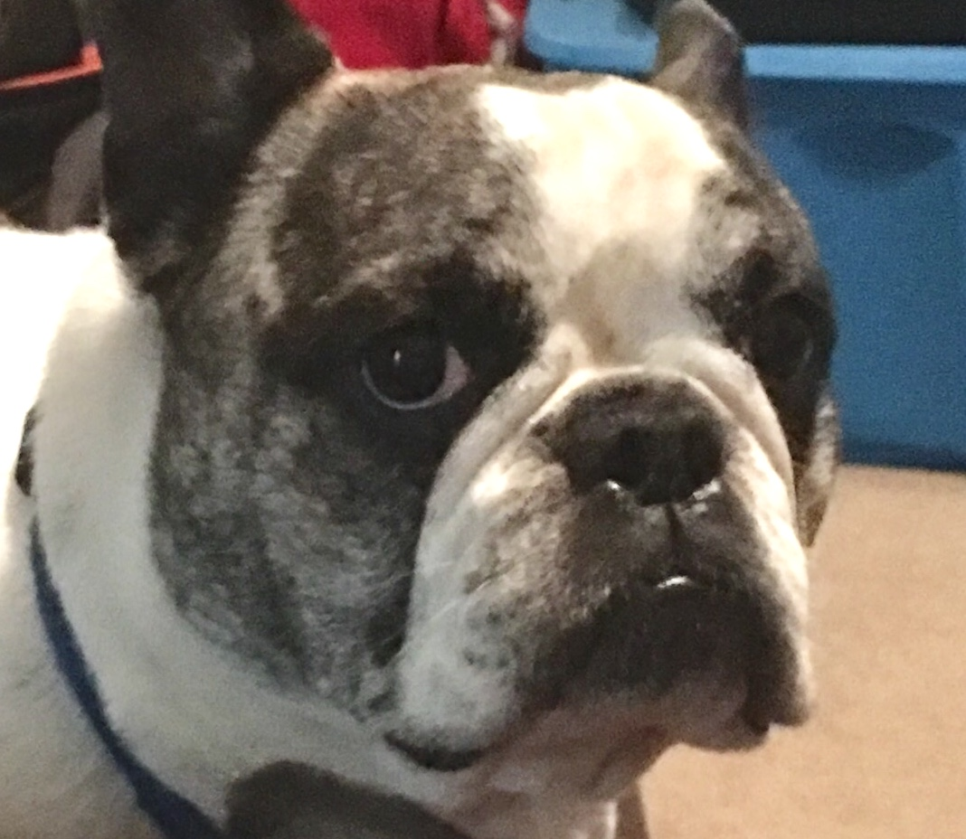 user avatar image for Broonkah 