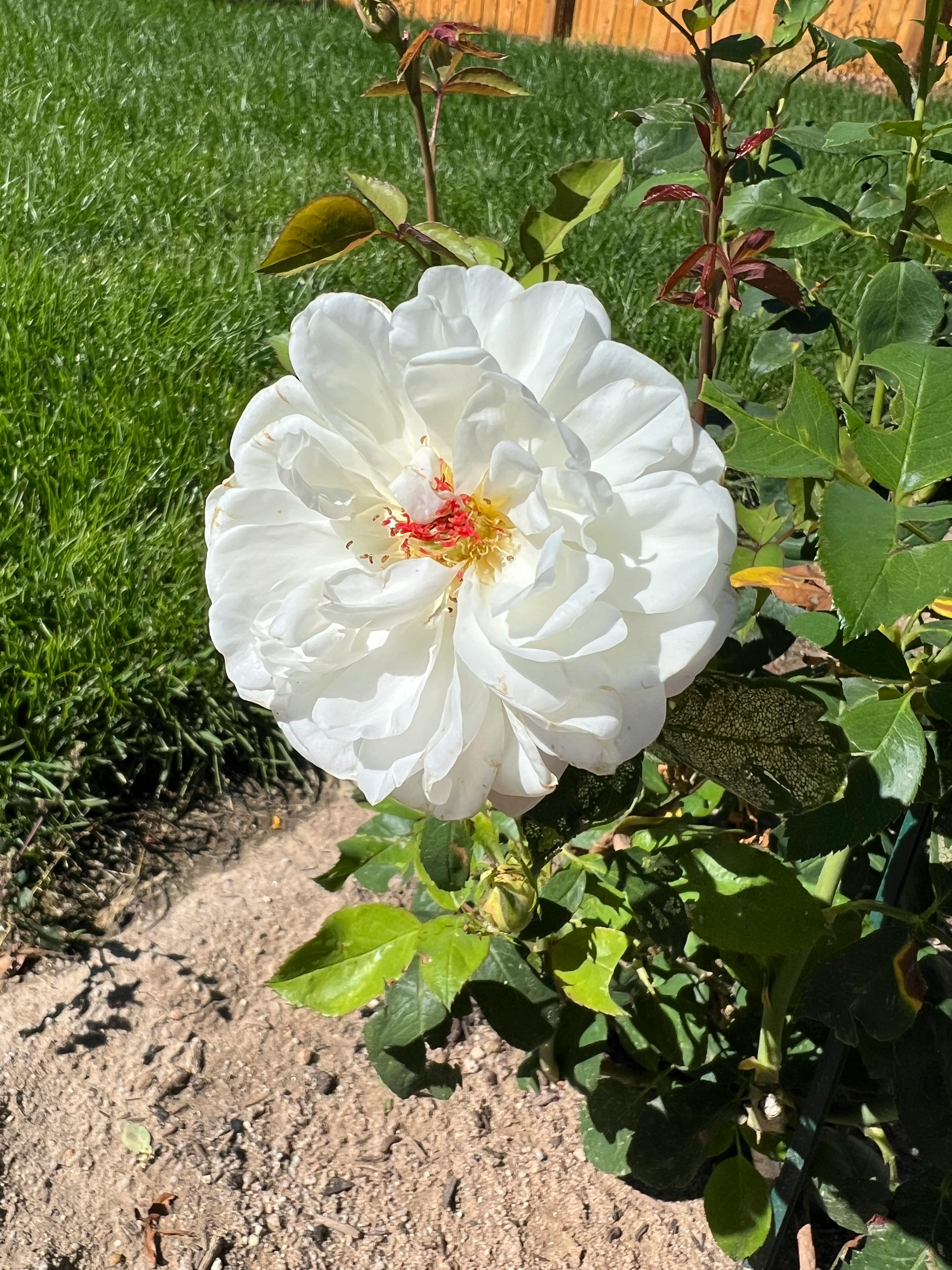 user avatar image for Kevin Henry