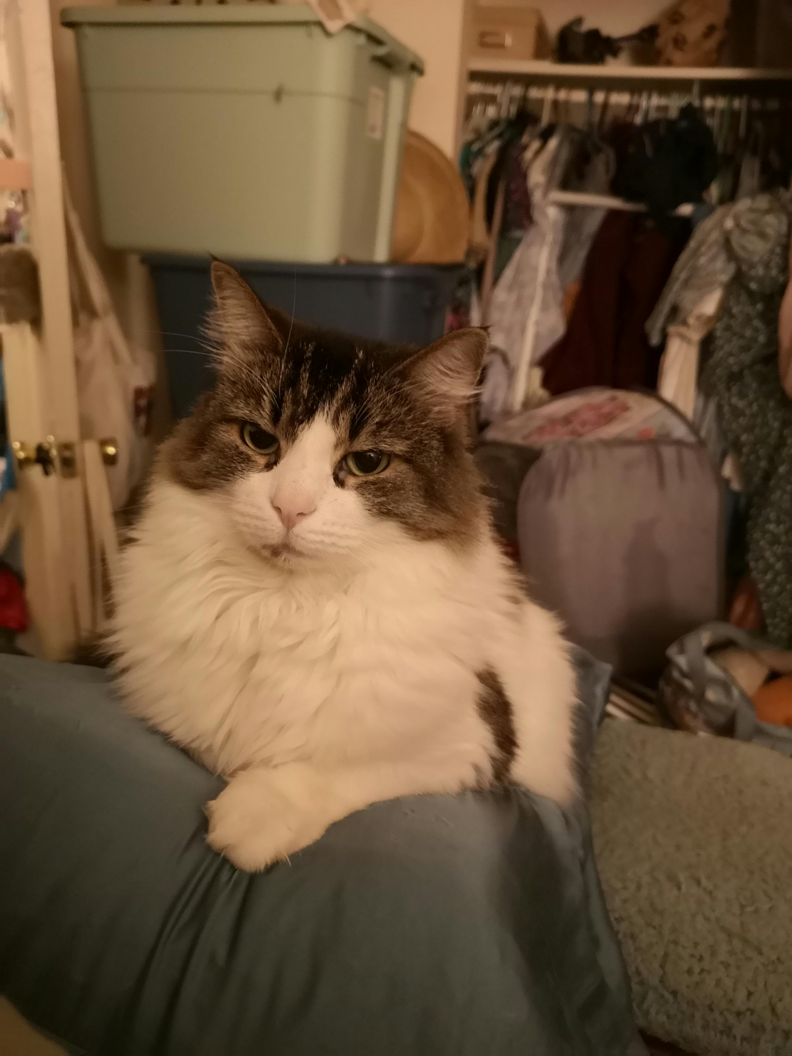 user avatar image for TheNeojess