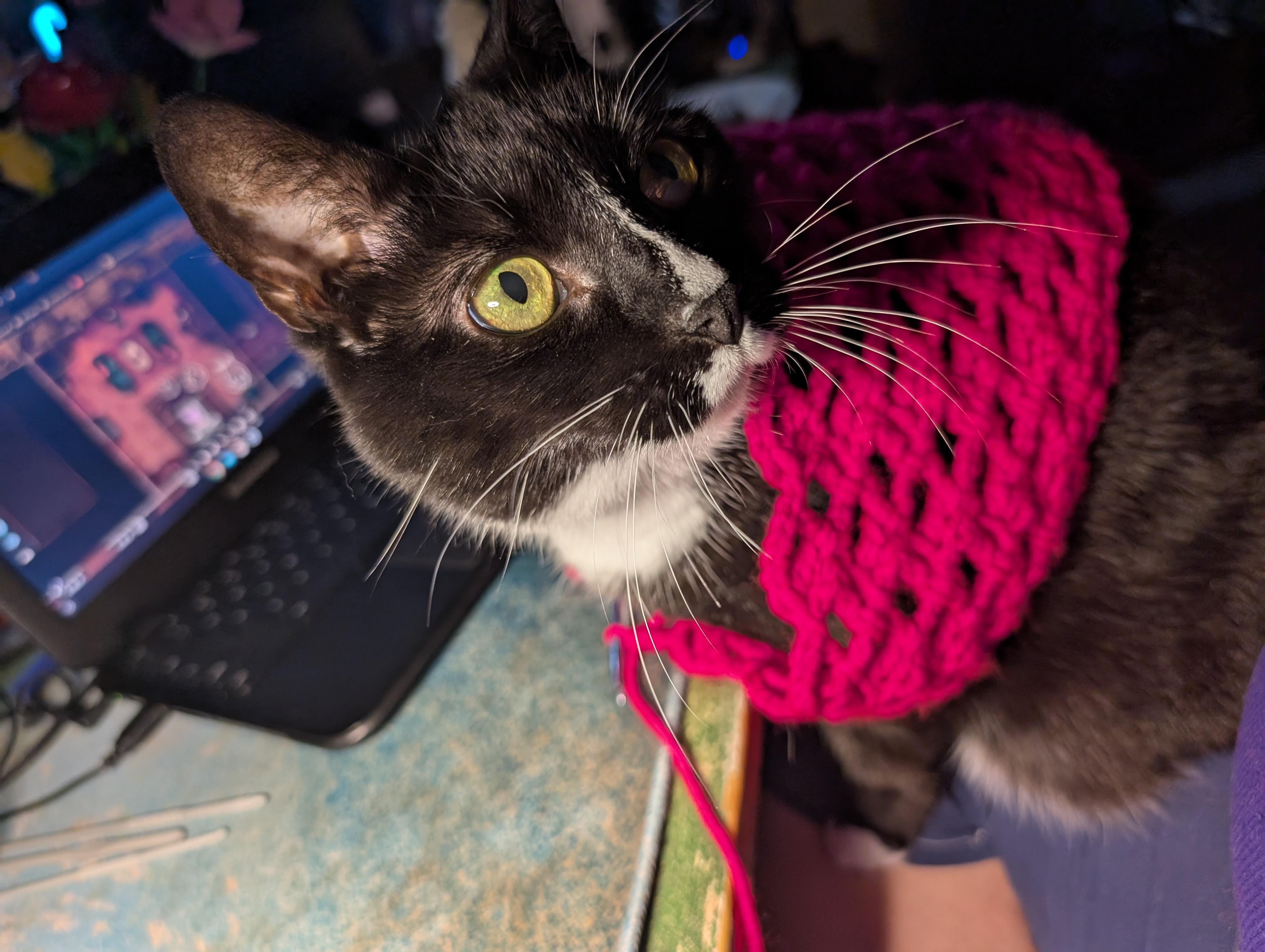 user avatar image for Saige