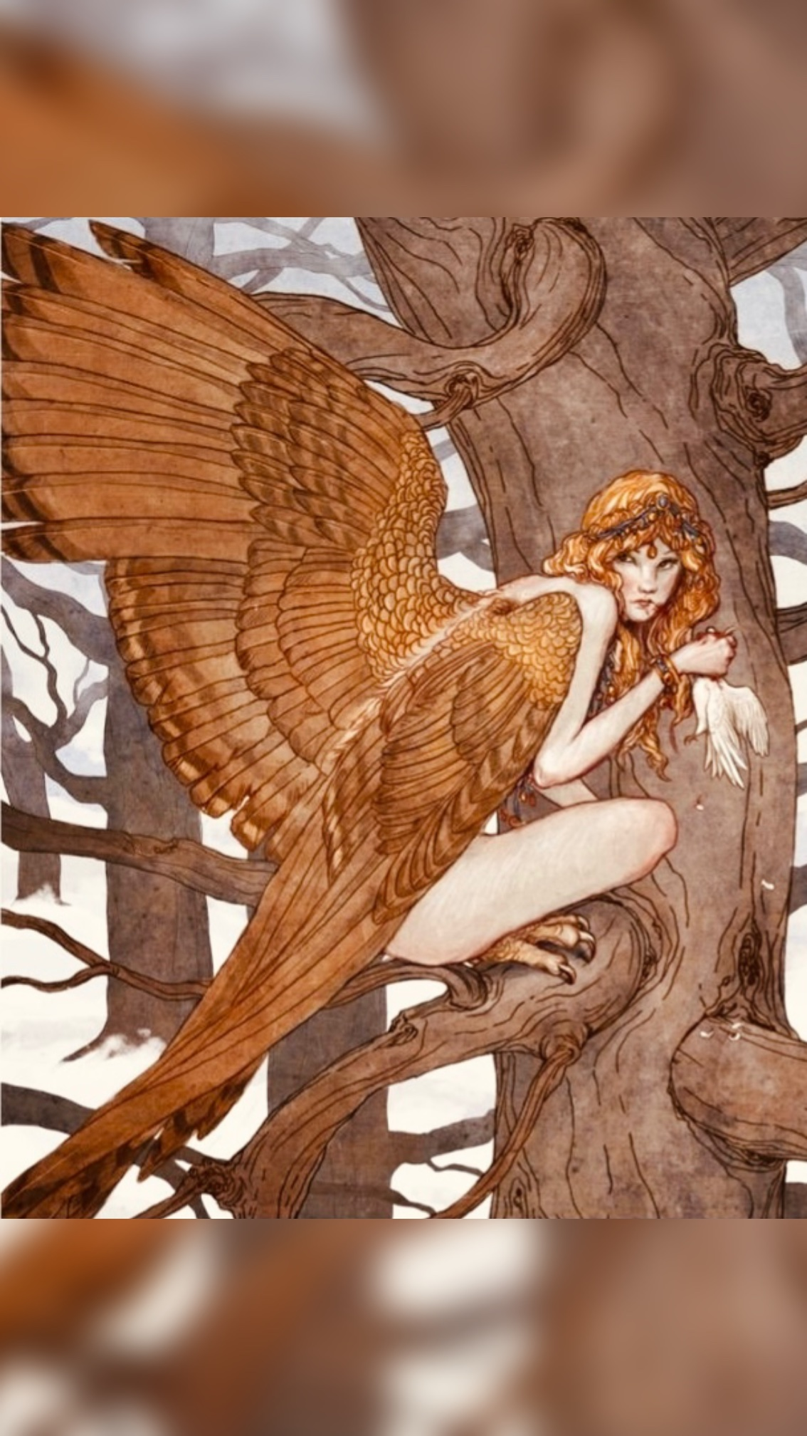 user avatar image for douglas gallert