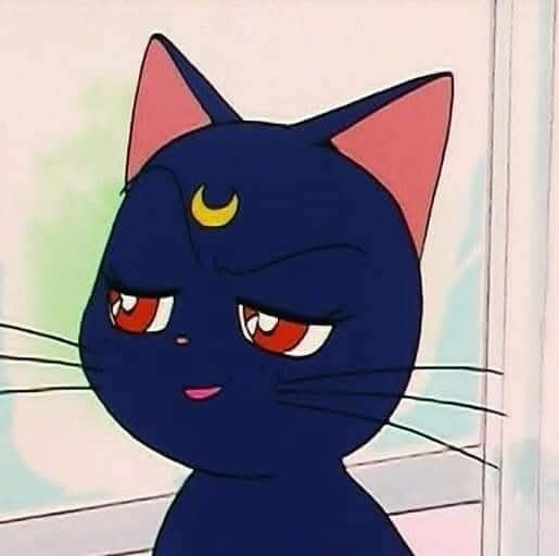 user avatar image for Cody