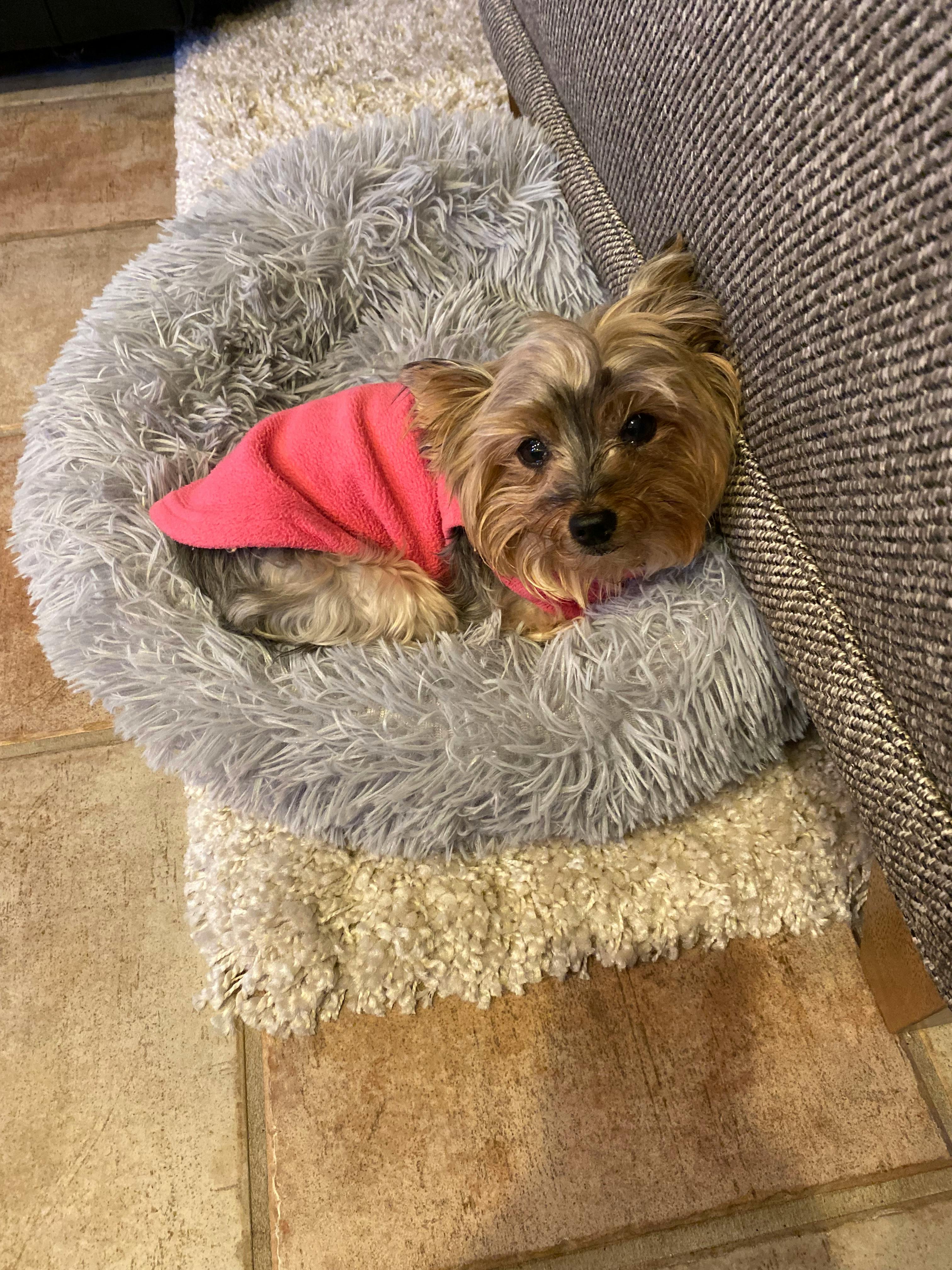 user avatar image for Jhjjsj