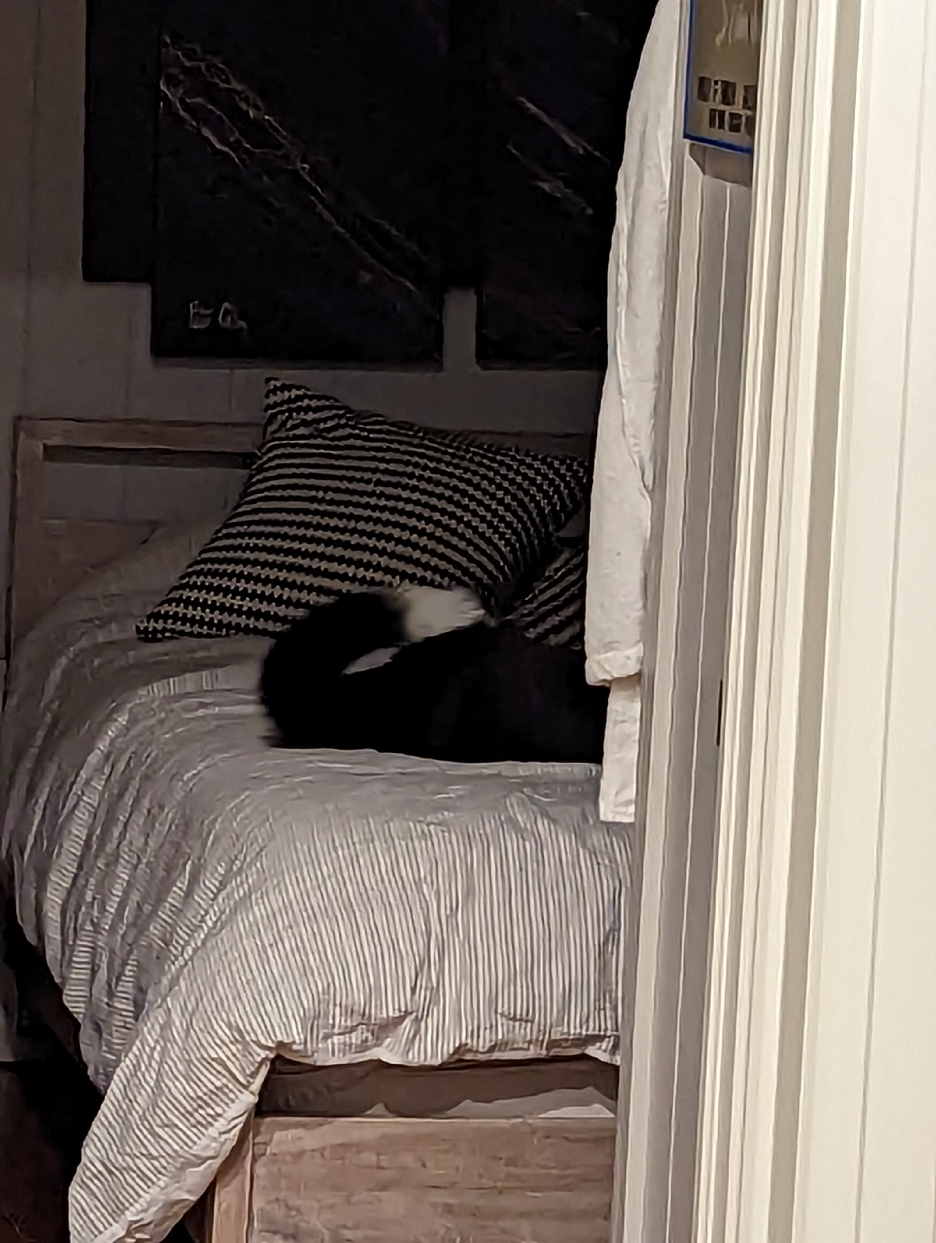 user avatar image for bgold