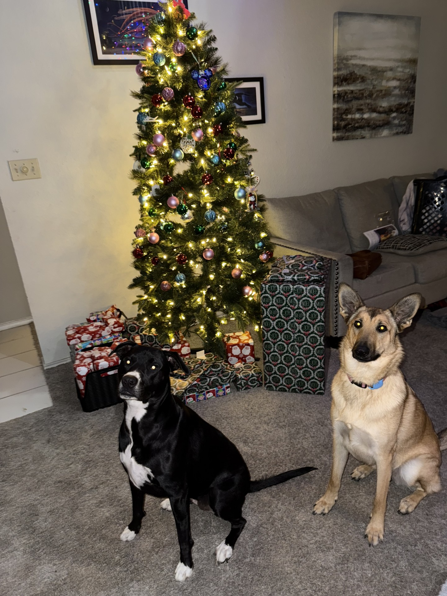 user avatar image for Caleb Athens