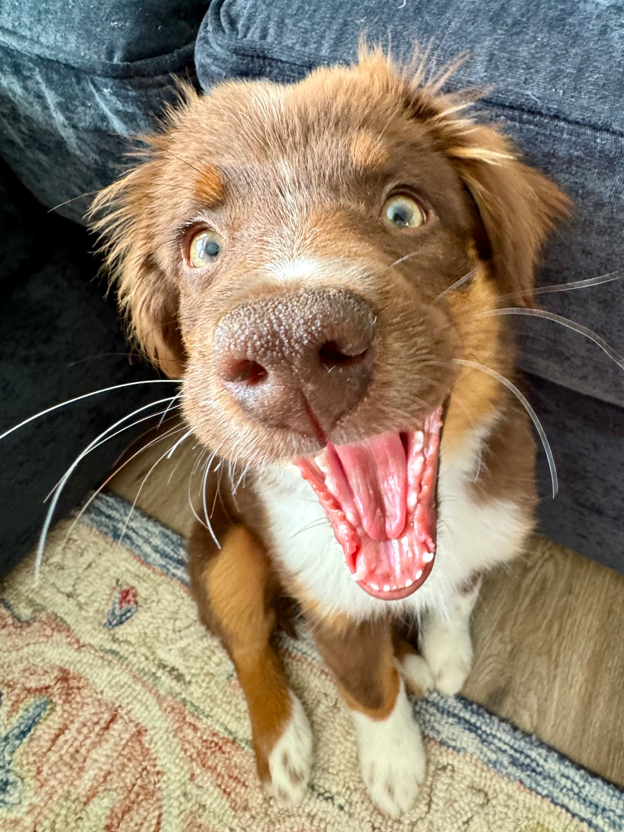 user avatar image for Bridget Reed