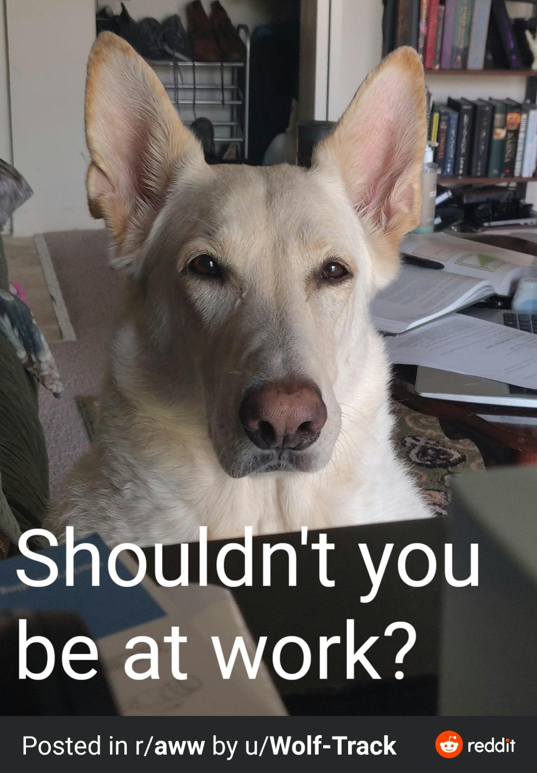 user avatar image for Paul Zupa