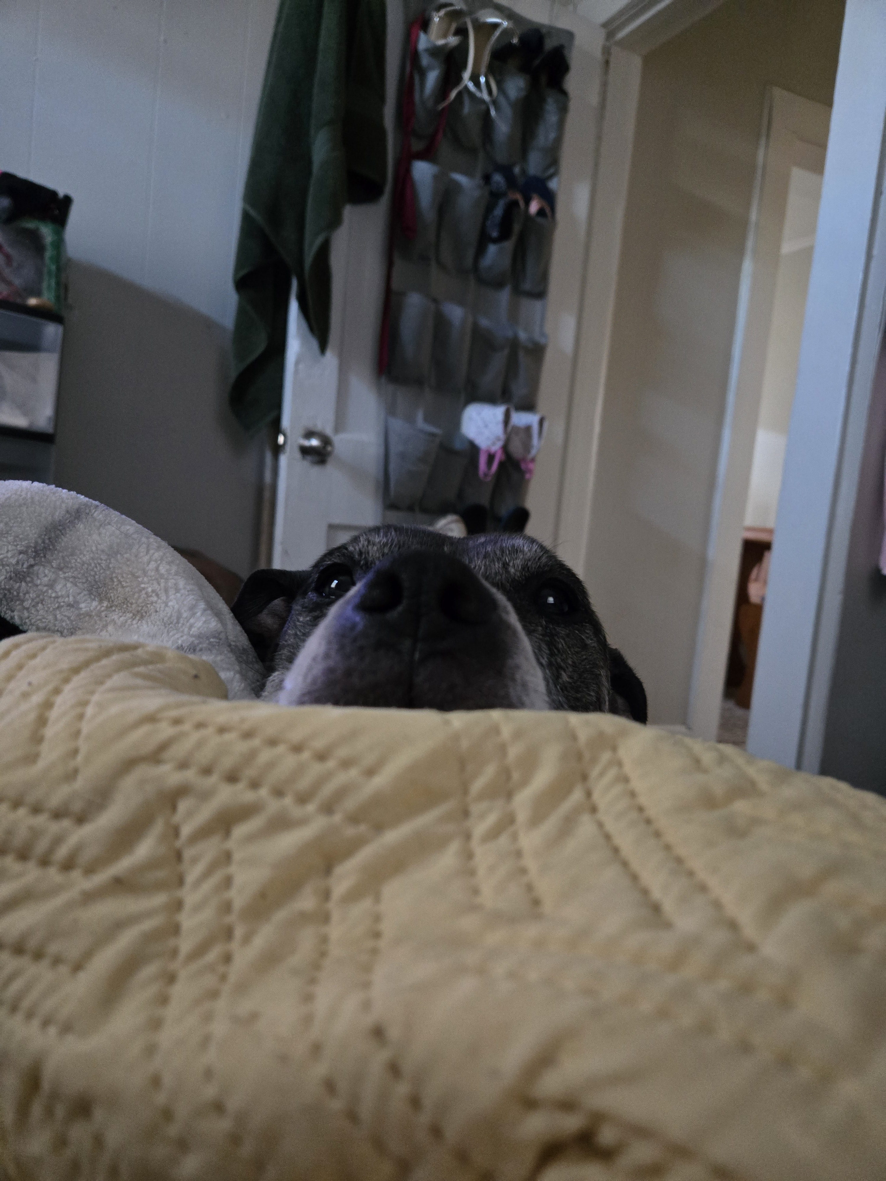 user avatar image for Lord_of_Zoinks