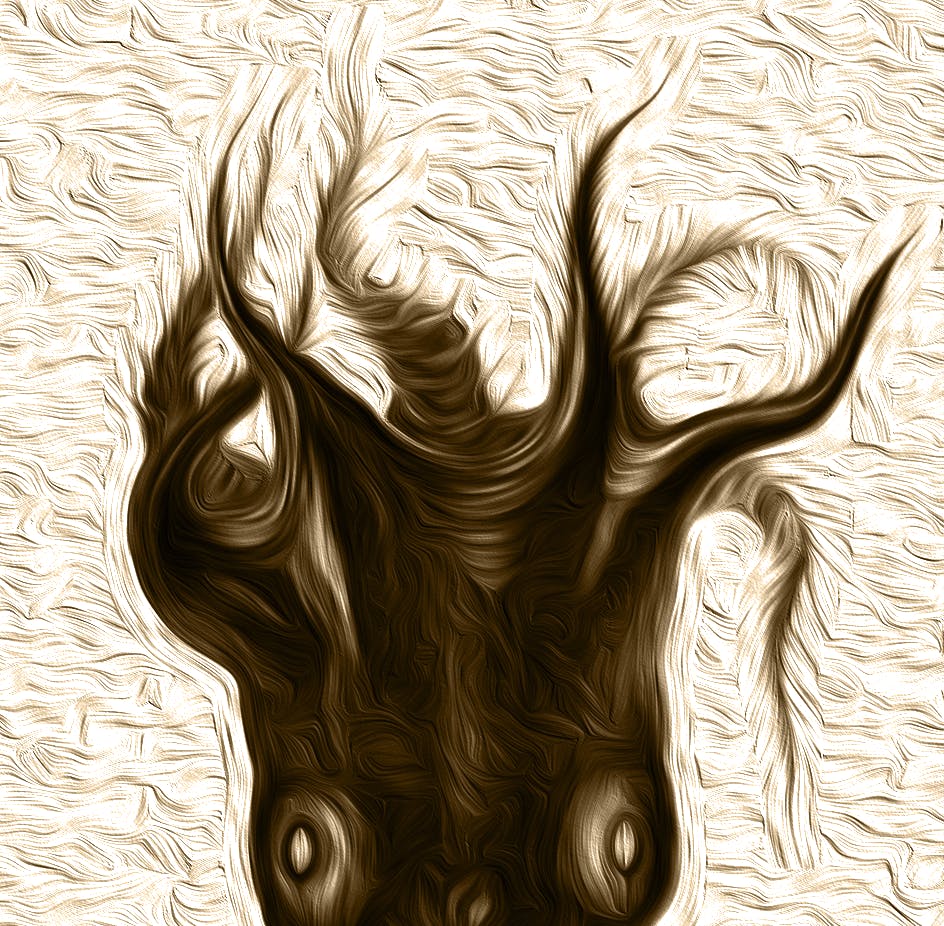 user avatar image for Jason McDonald