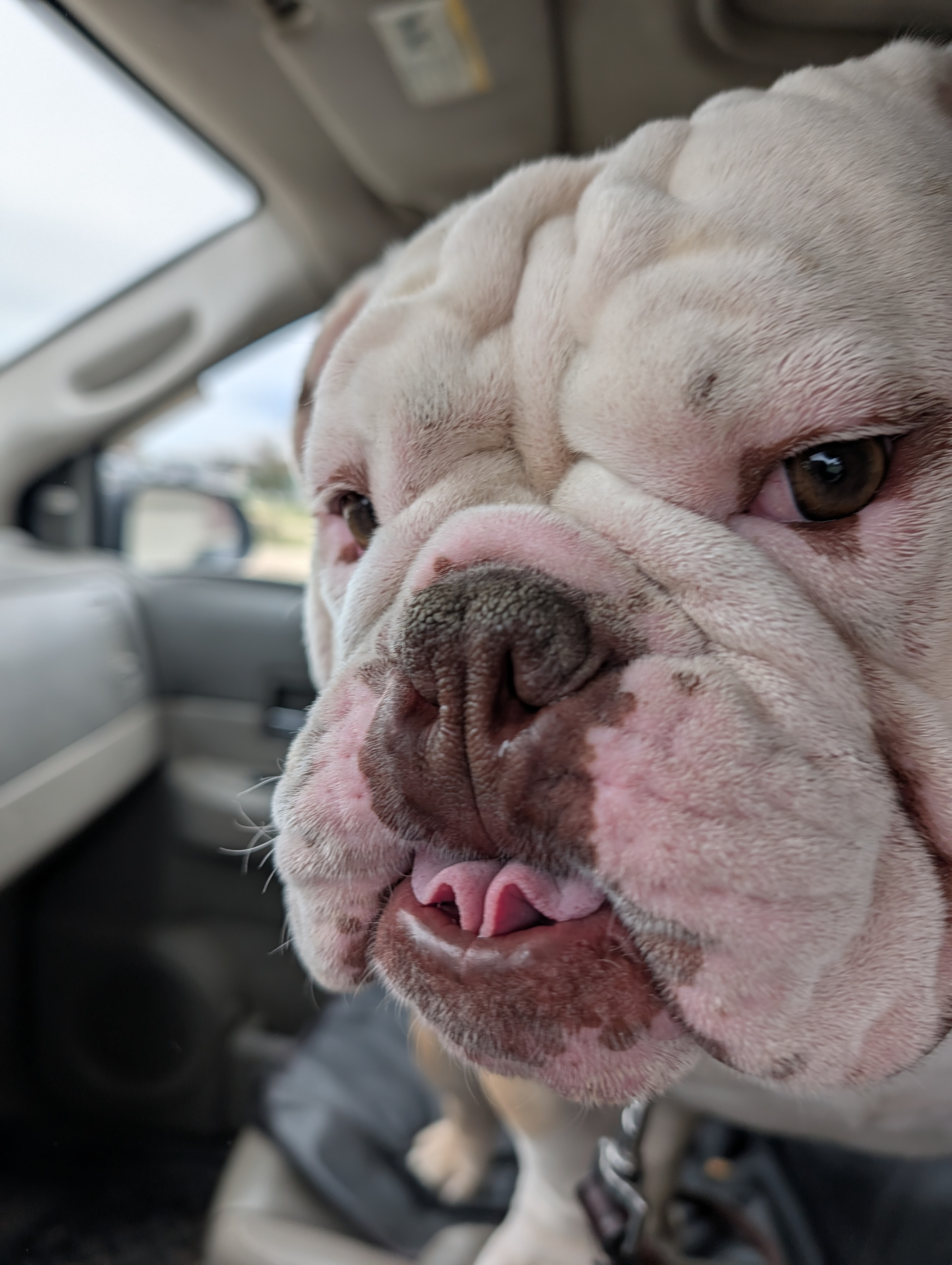 user avatar image for Sebastian