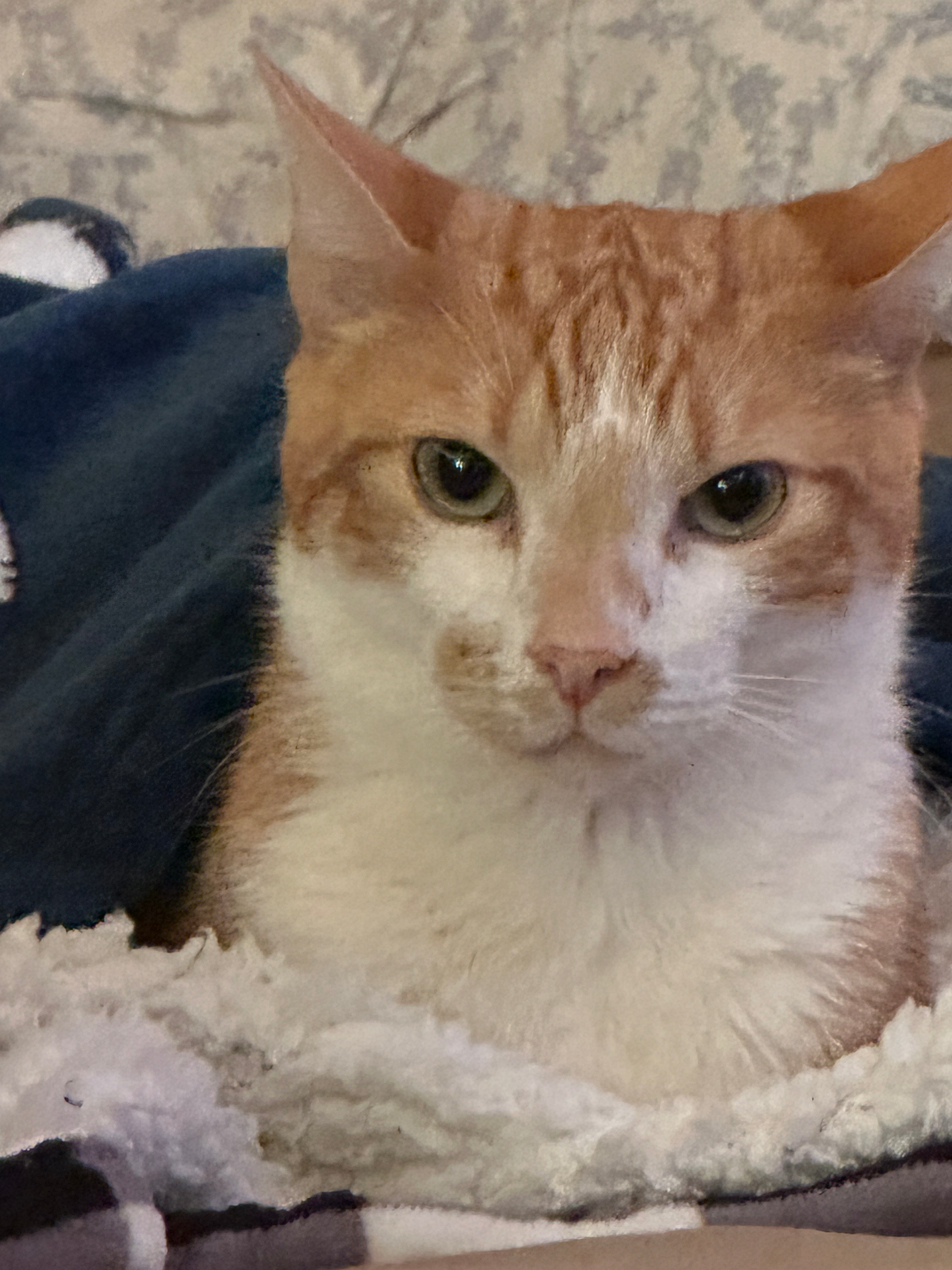 user avatar image for Karp