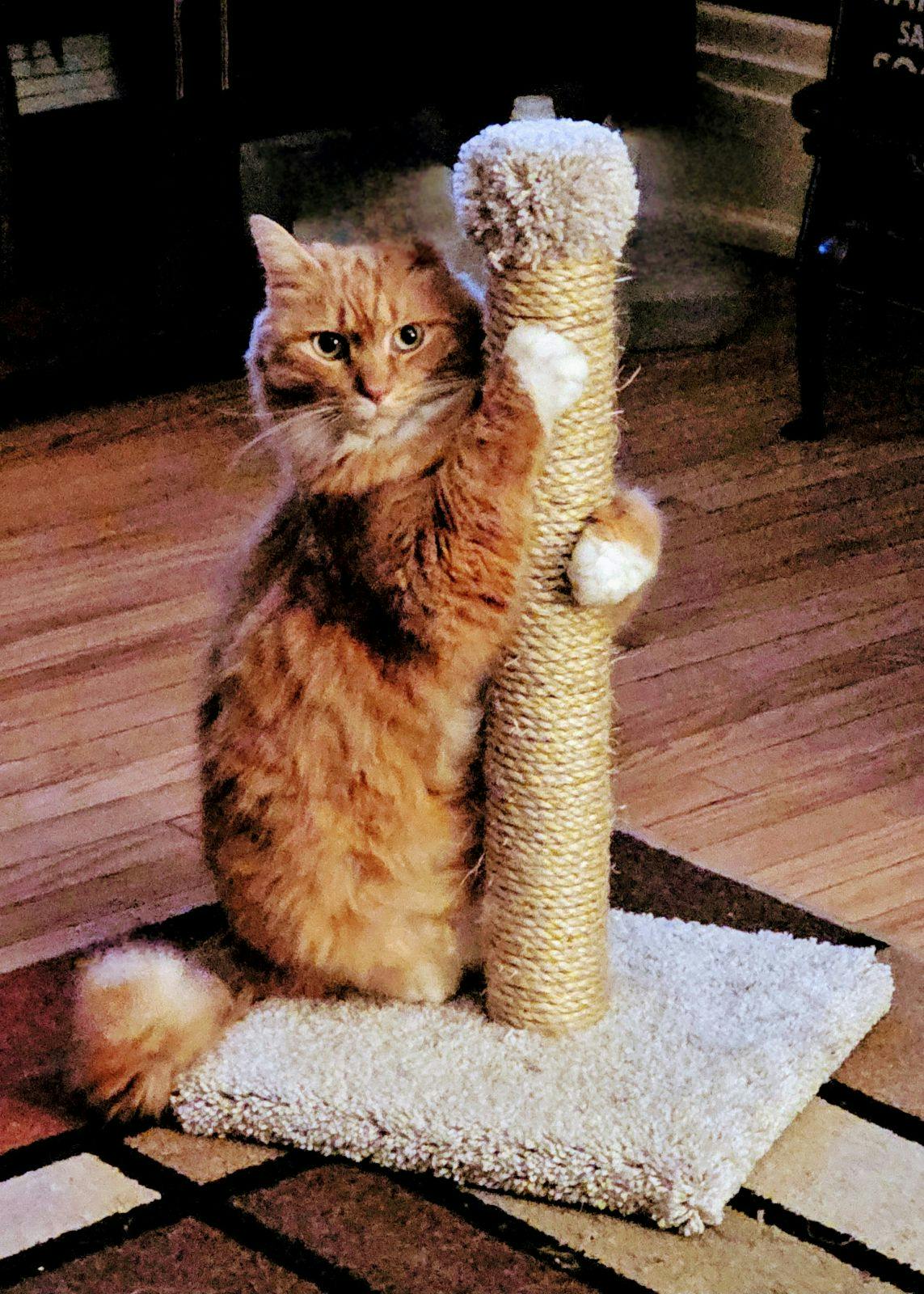 user avatar image for Keke