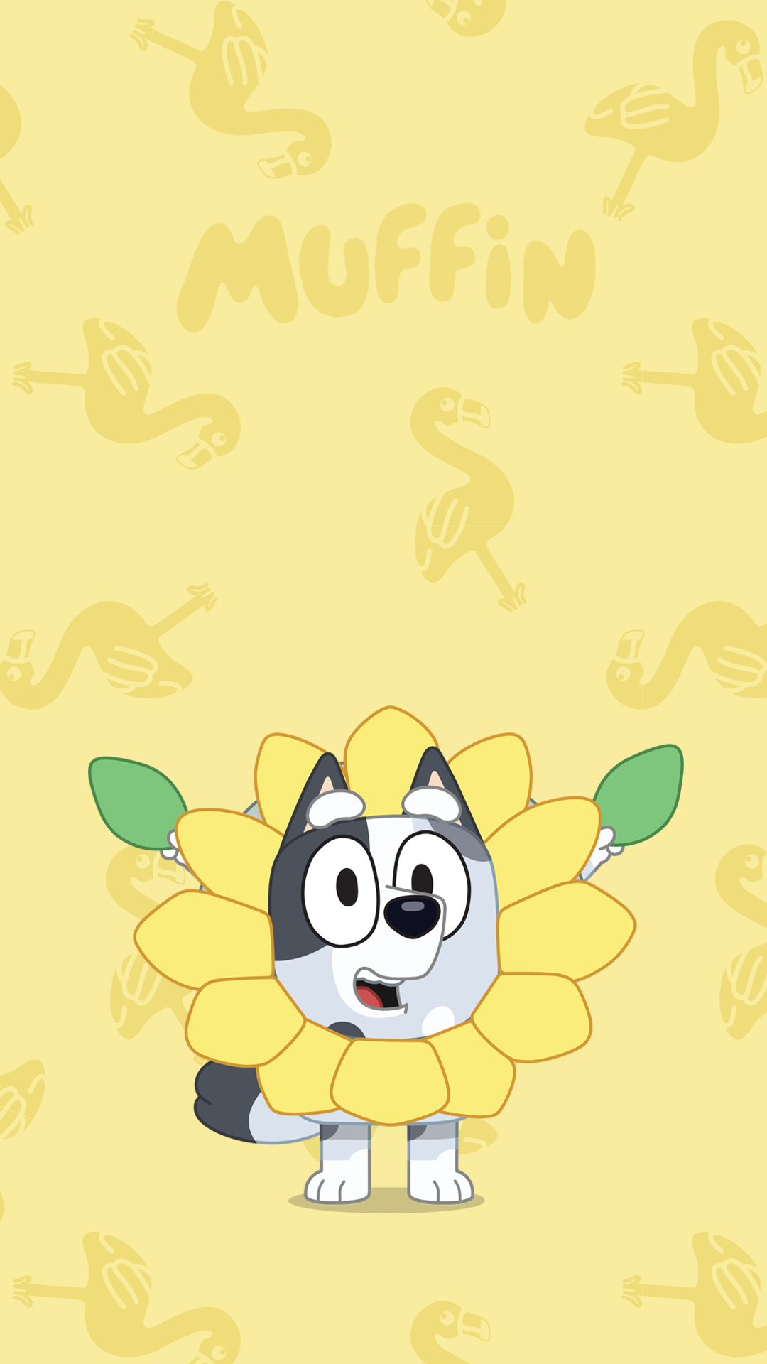 user avatar image for Jae B