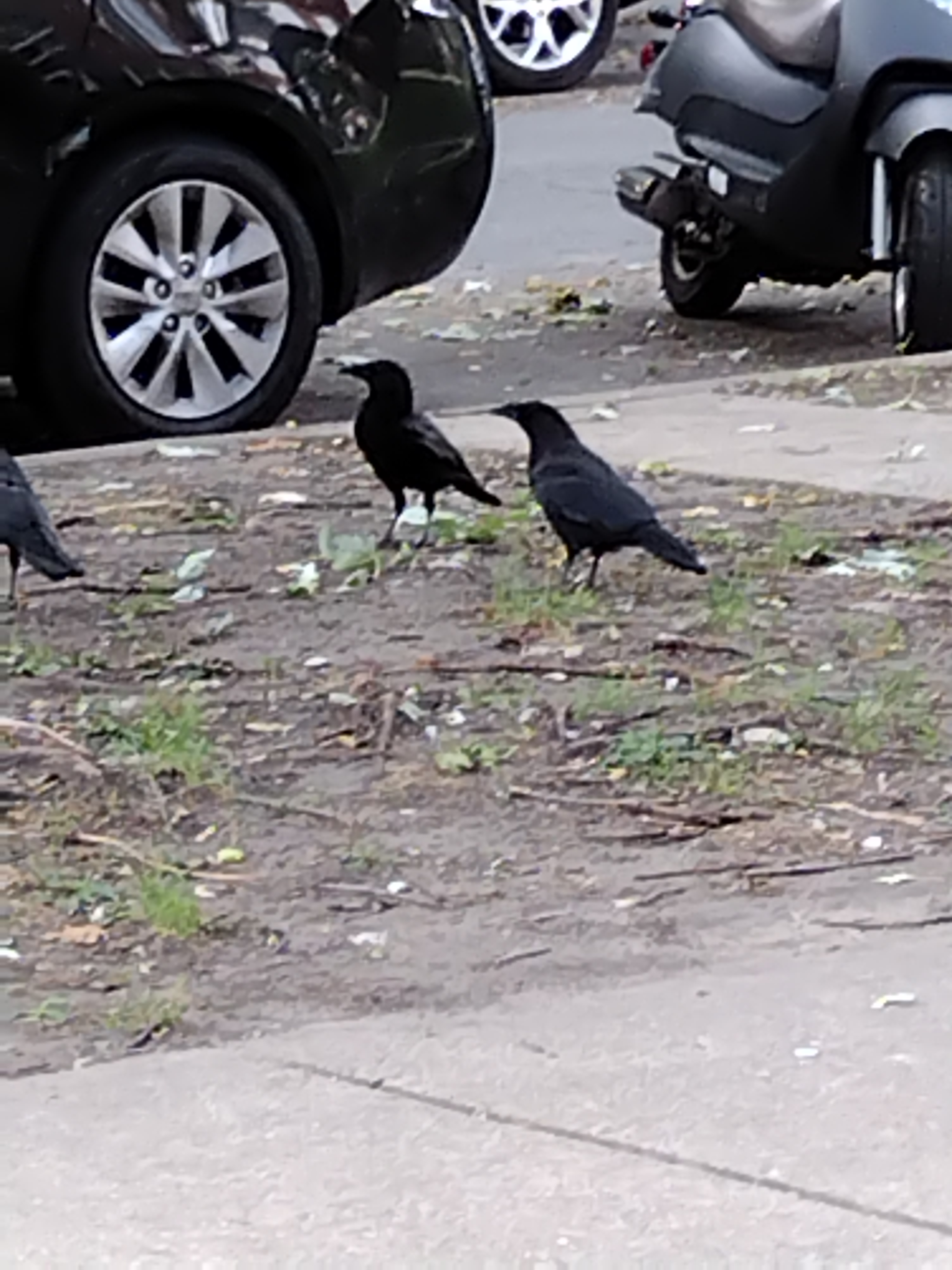 user avatar image for Tarn