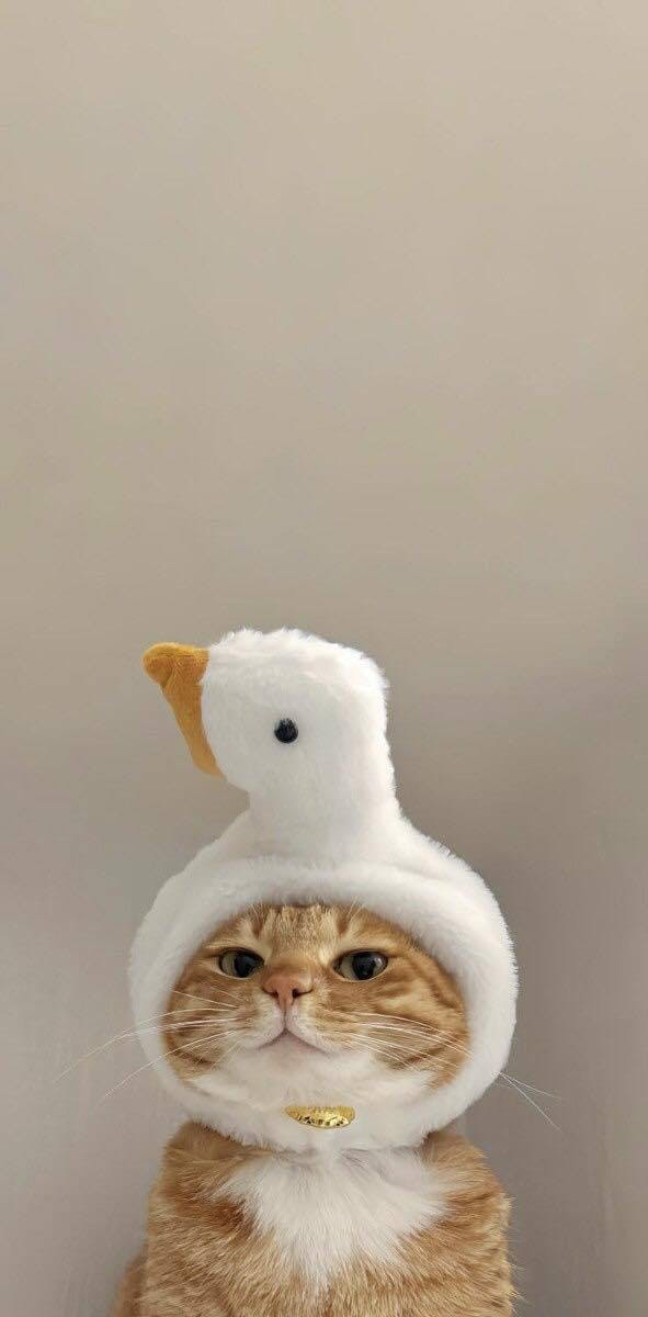 user avatar image for Sam5959