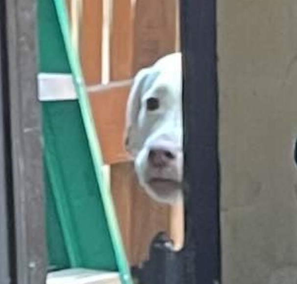 user avatar image for Justin Swain