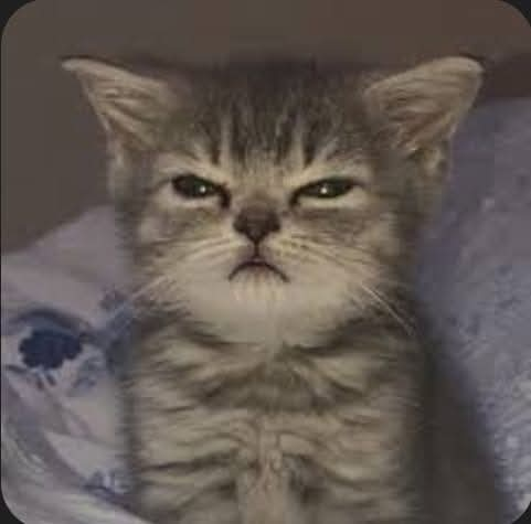 user avatar image for M Cody