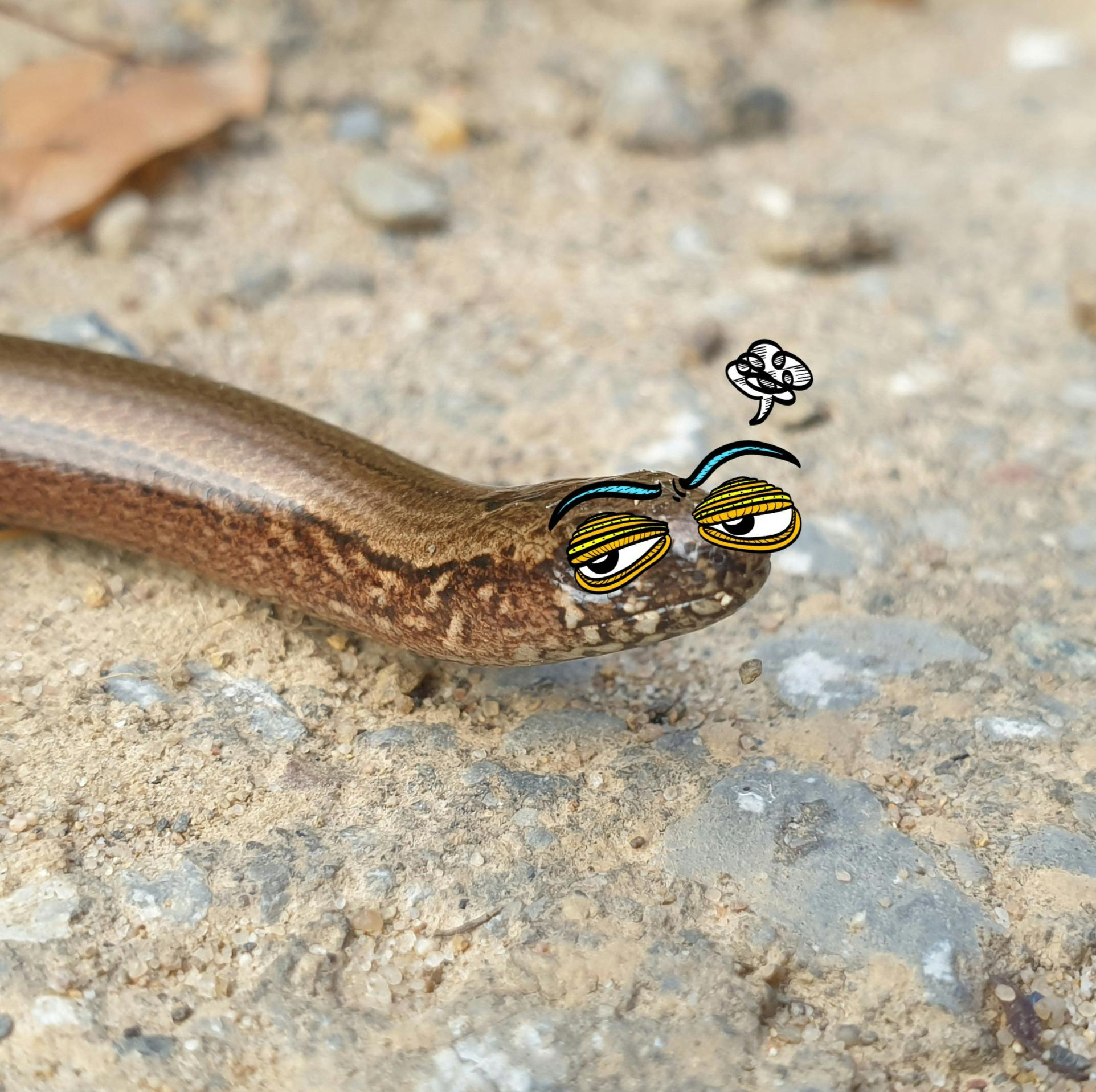 user avatar image for Pat