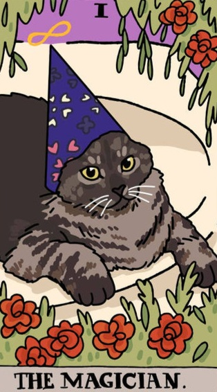user avatar image for Majki