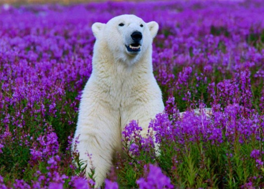 user avatar image for MF