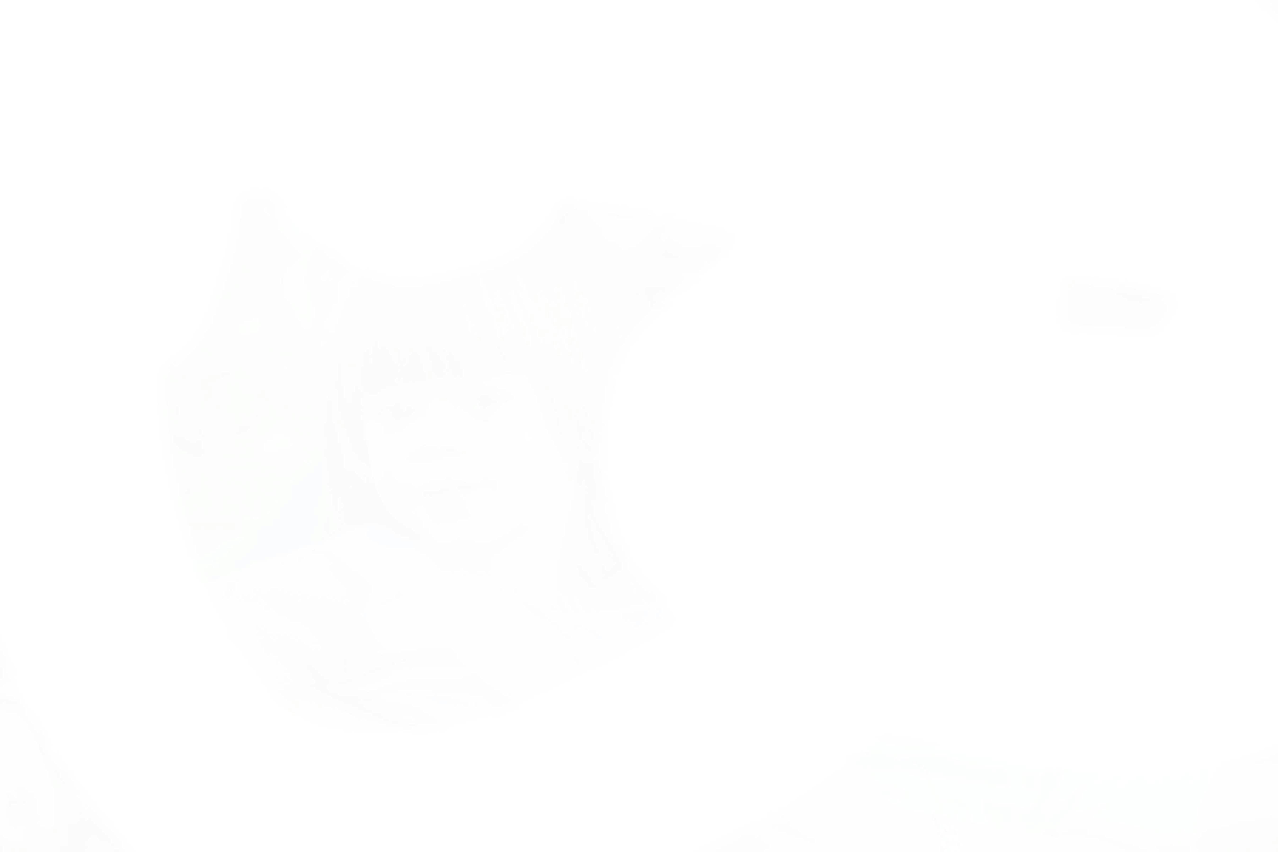 user avatar image for IIGGYY