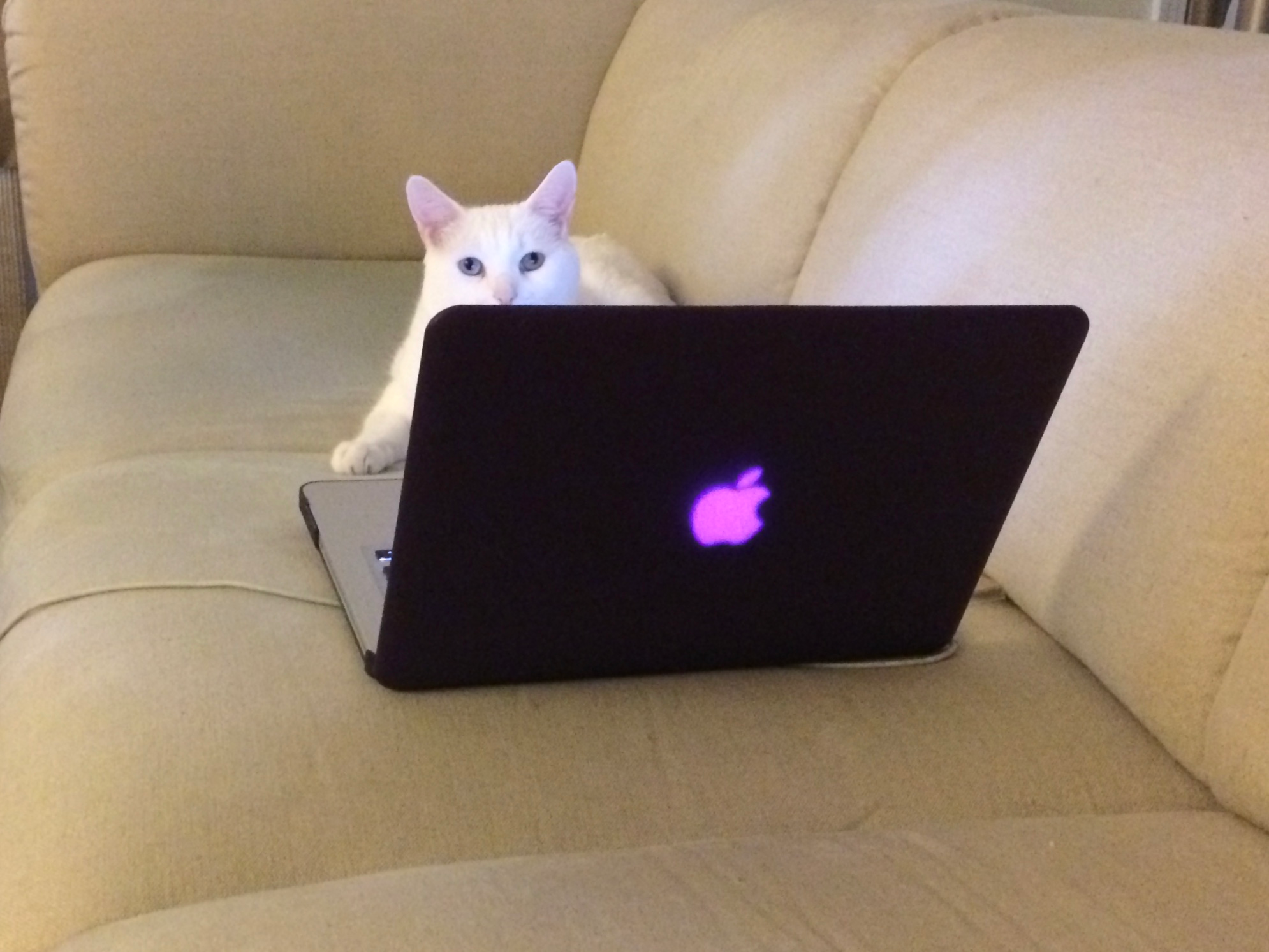 user avatar image for Jessica Dennis