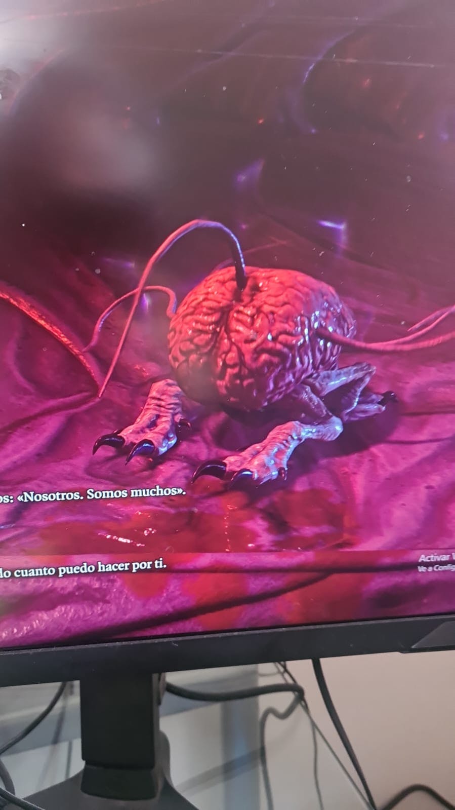 user avatar image for Ottmar Carlos Dorantes Hall