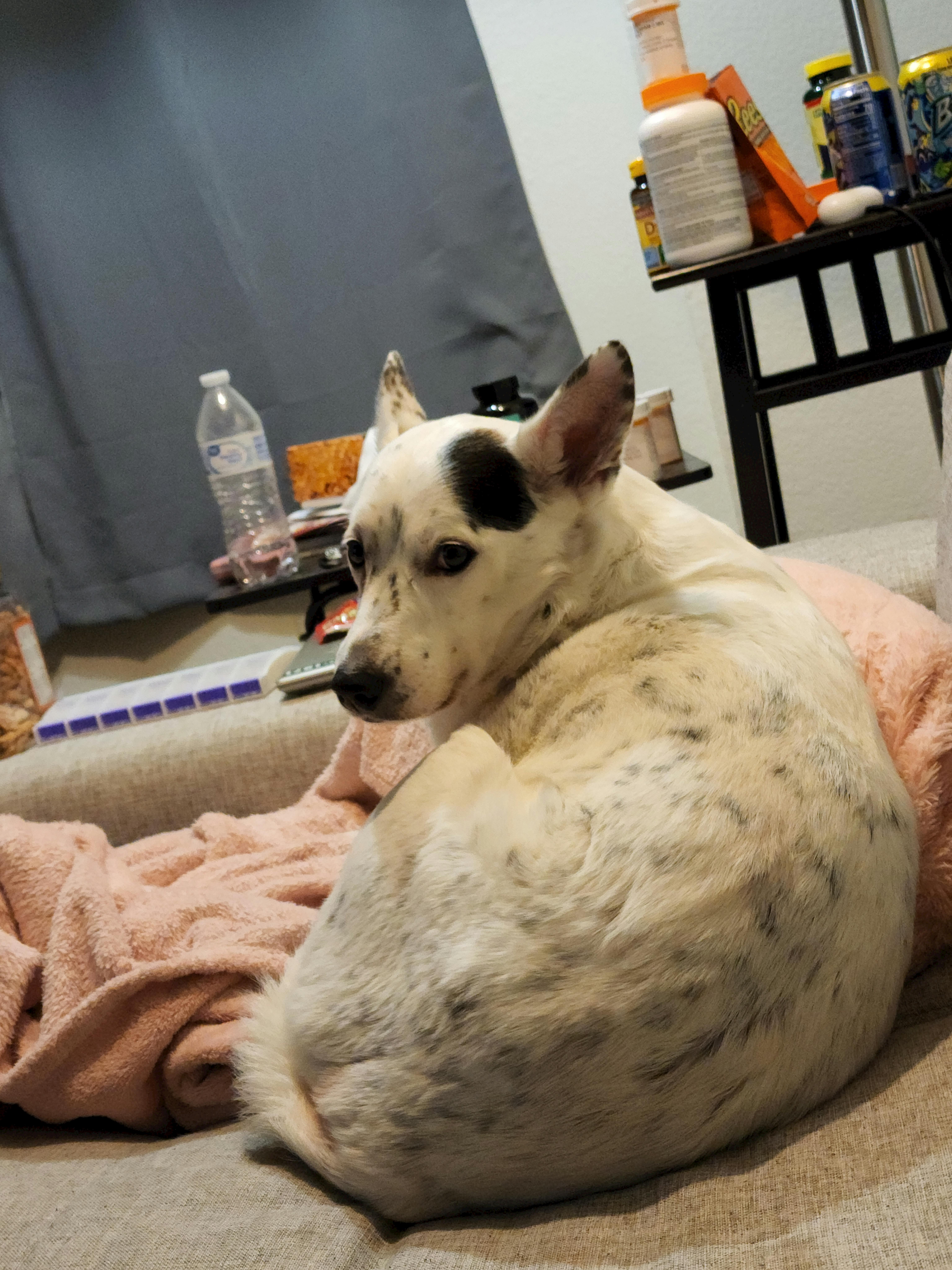 user avatar image for Eagleclaw250