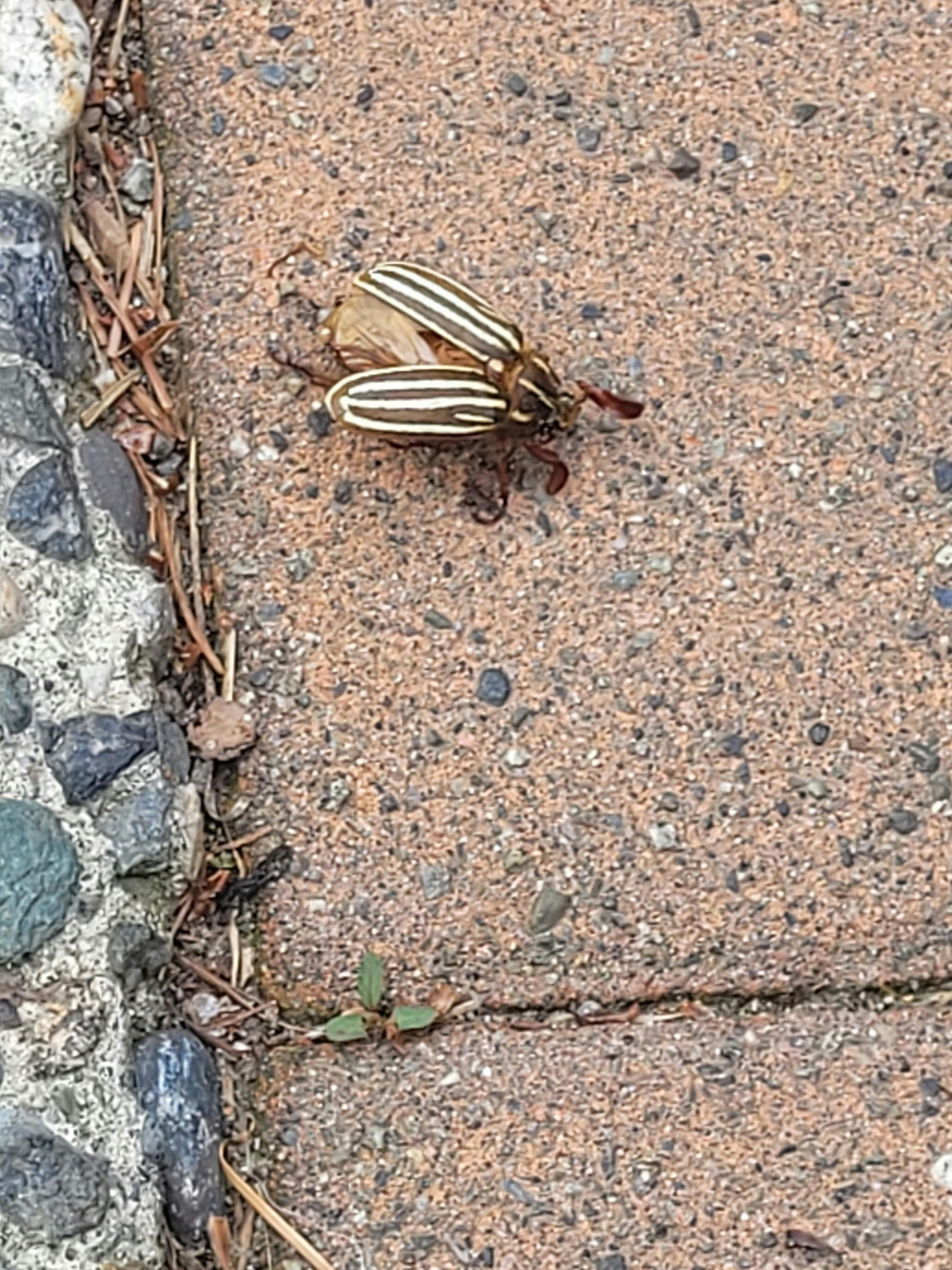 user avatar image for R. K. Kirshi