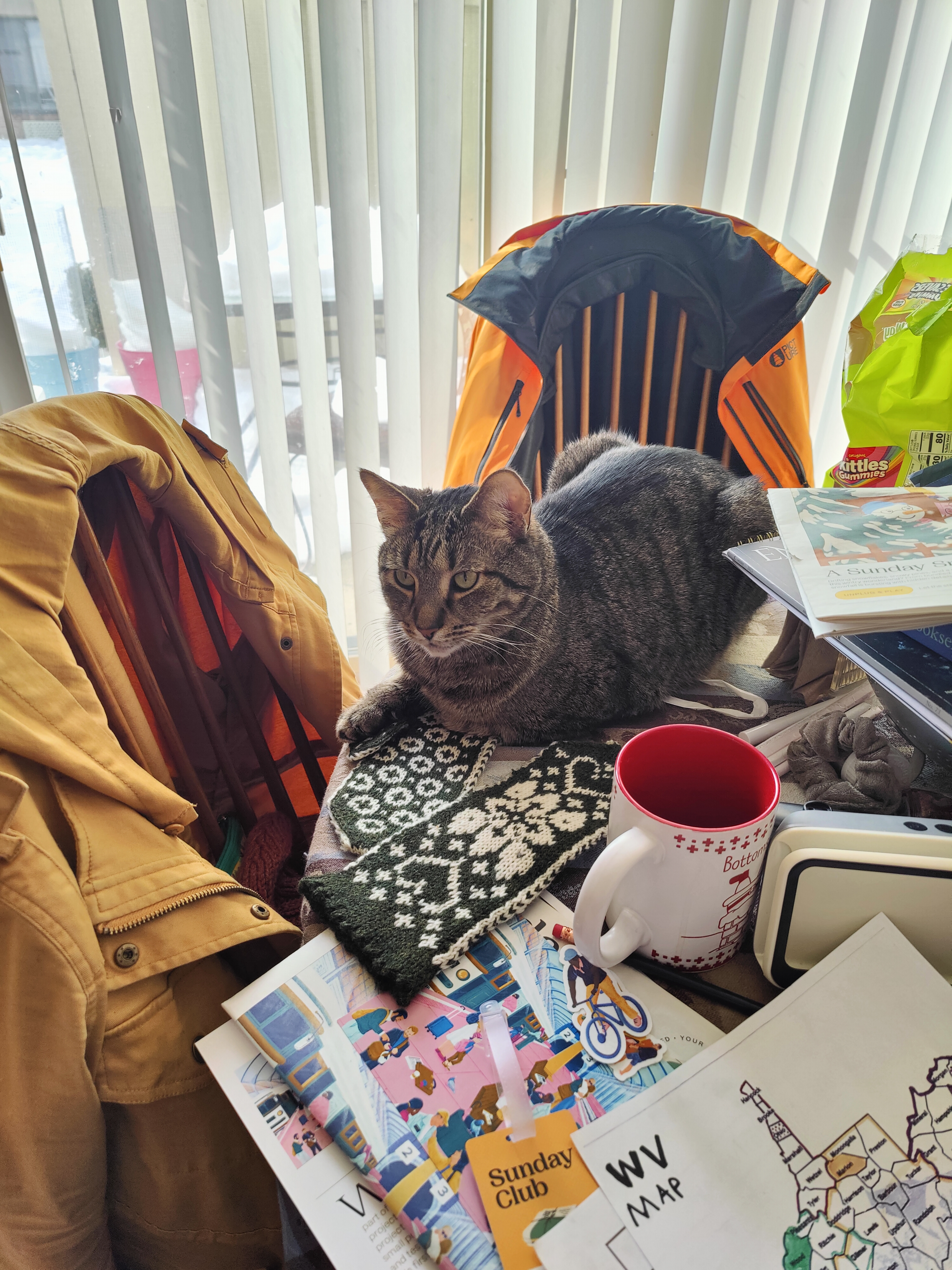 user avatar image for Stacey