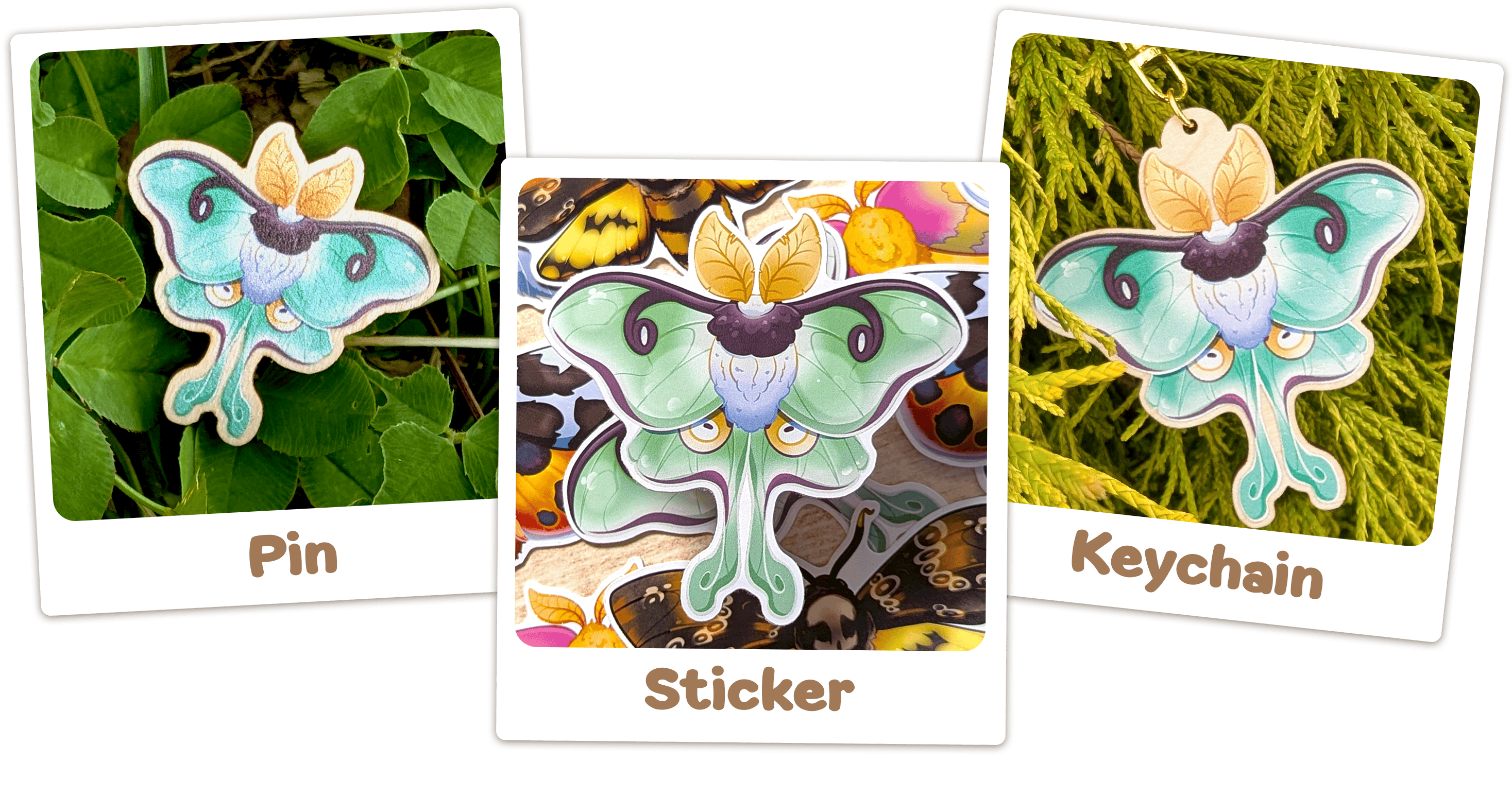 🌙 Matching Moths - Luna 🌙