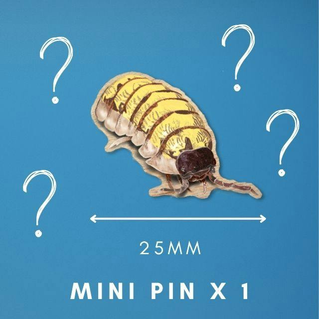 1 Wooden Mini Pin