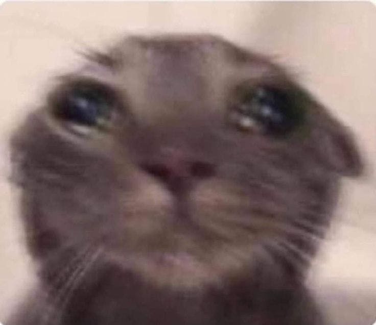 user avatar image for Wolfie