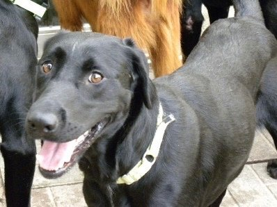 user avatar image for molehole2003