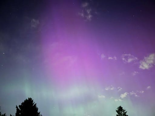 user avatar image for Natalie