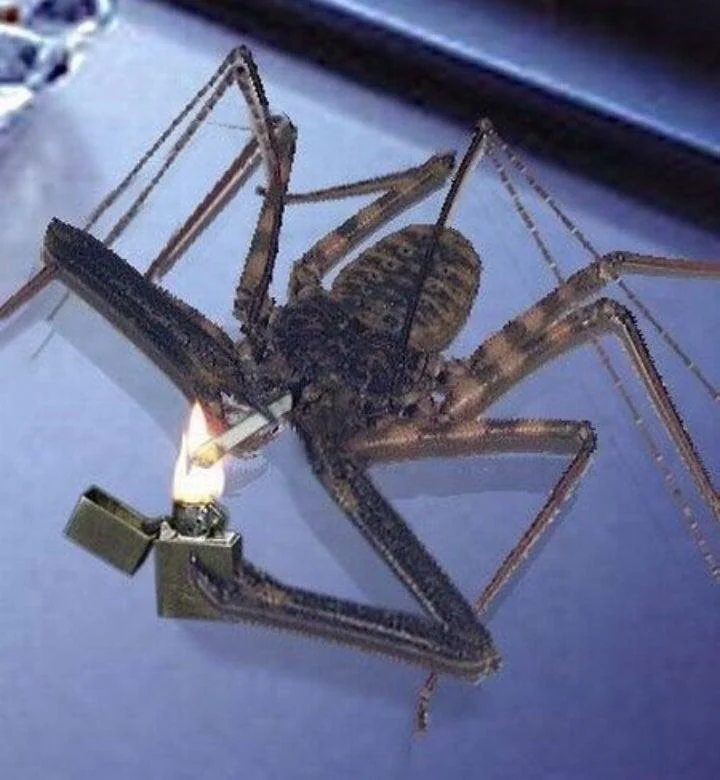 user avatar image for Magearn4