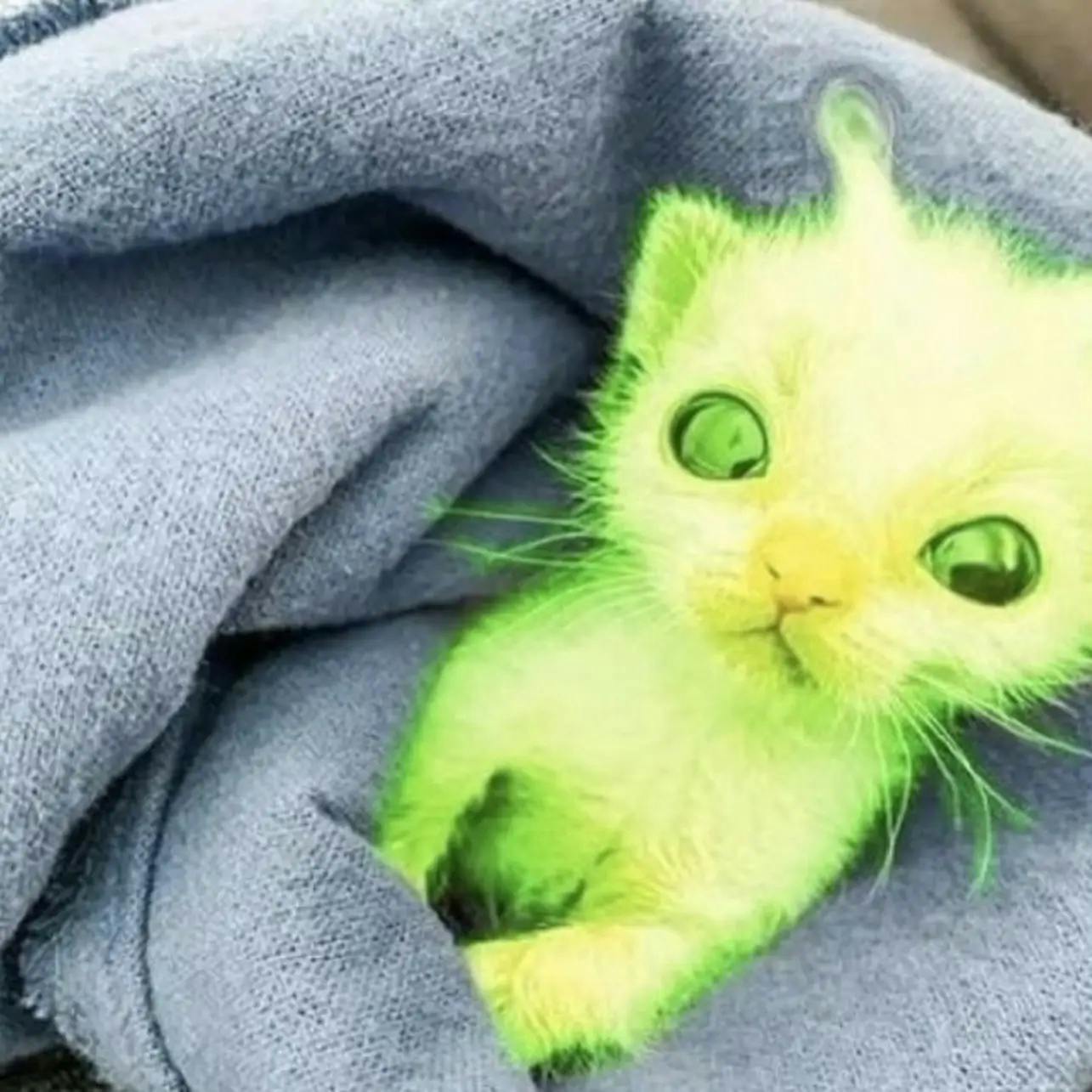 user avatar image for Tuna